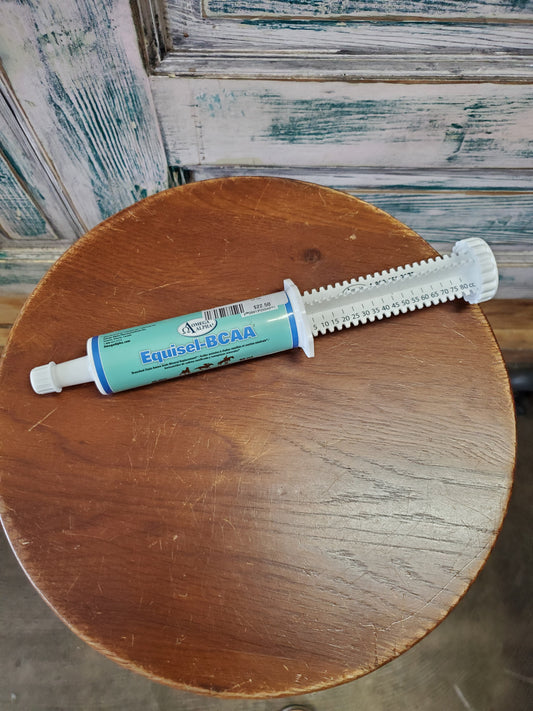 Equisel BCAA Paste 80cc Syringe