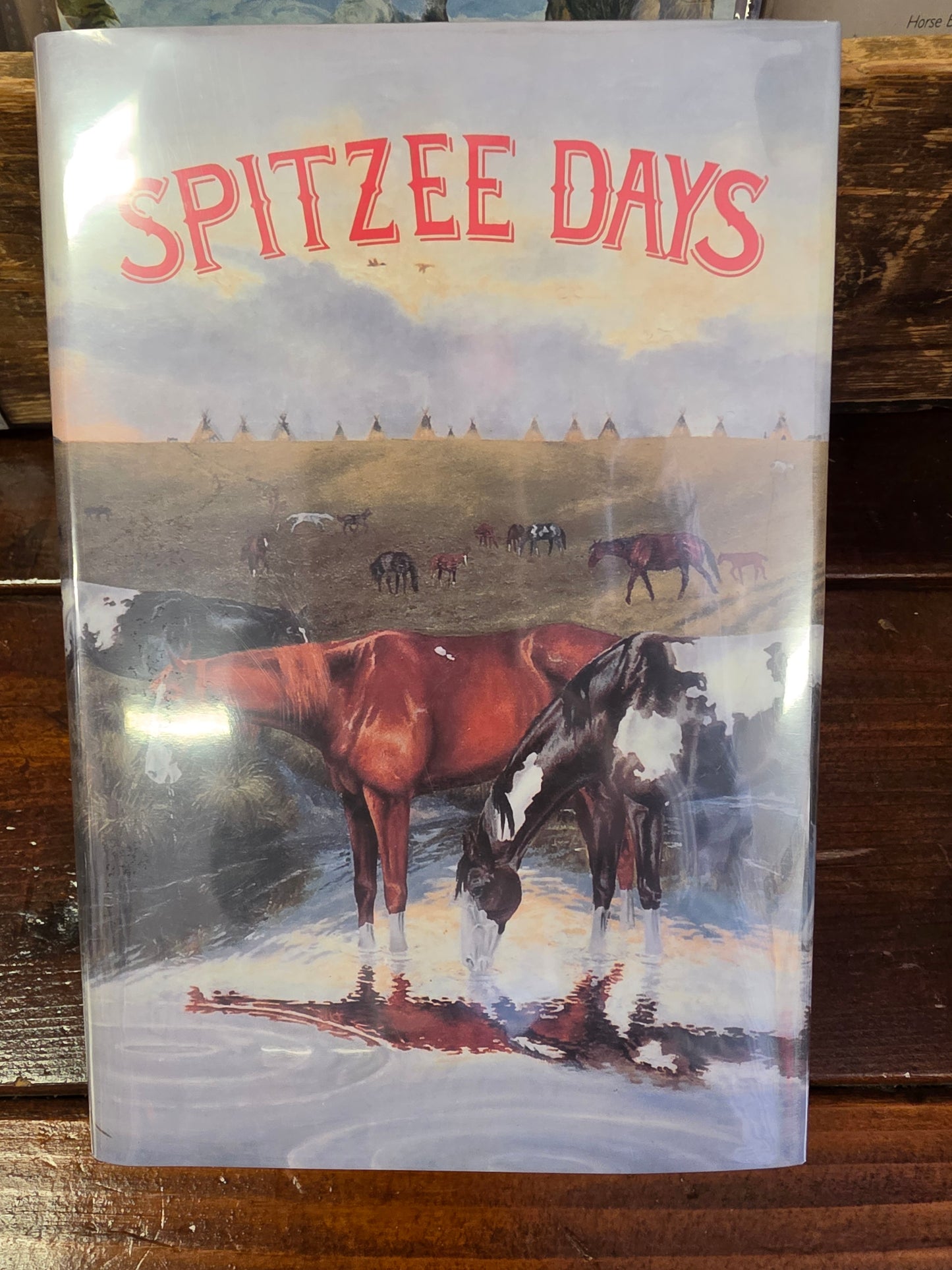Spitzee Days