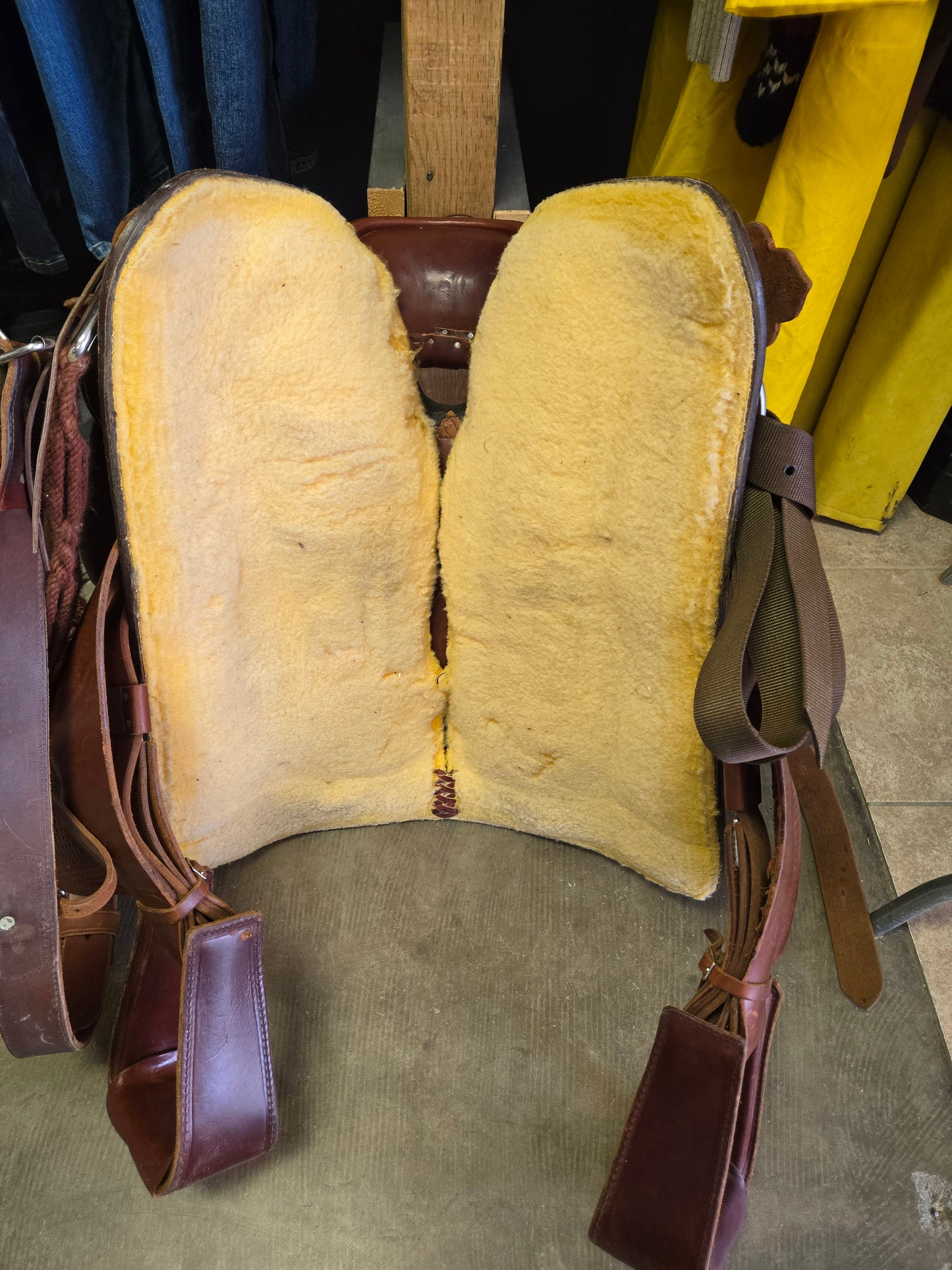 Circle Y Park & Trail Saddle (16.5)