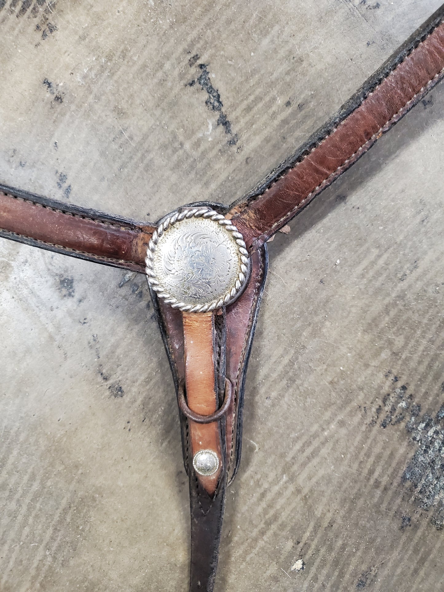 Breast Collar/ Conchos Detail