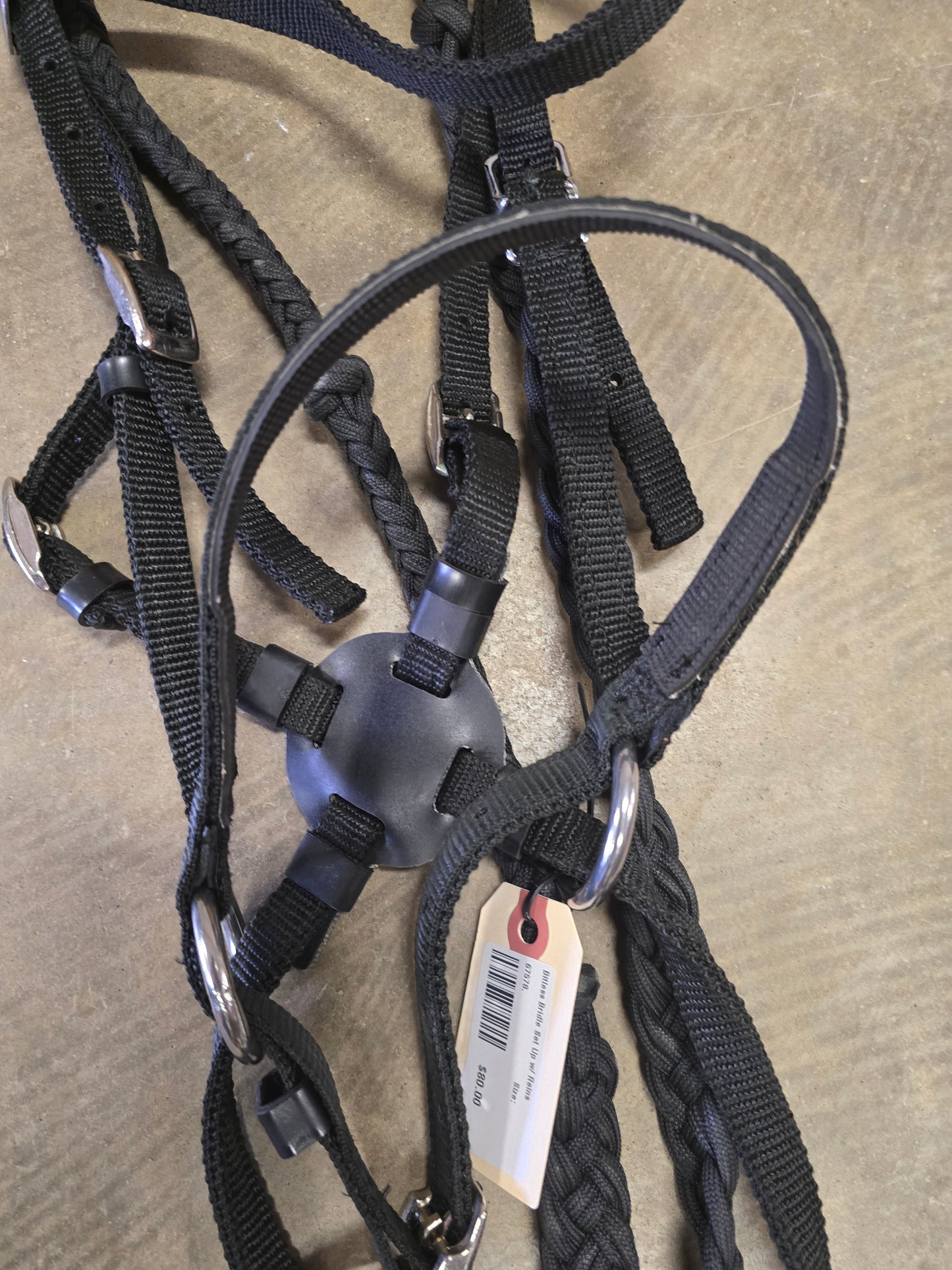 Bitless Bridle Set Up w/ Reins
