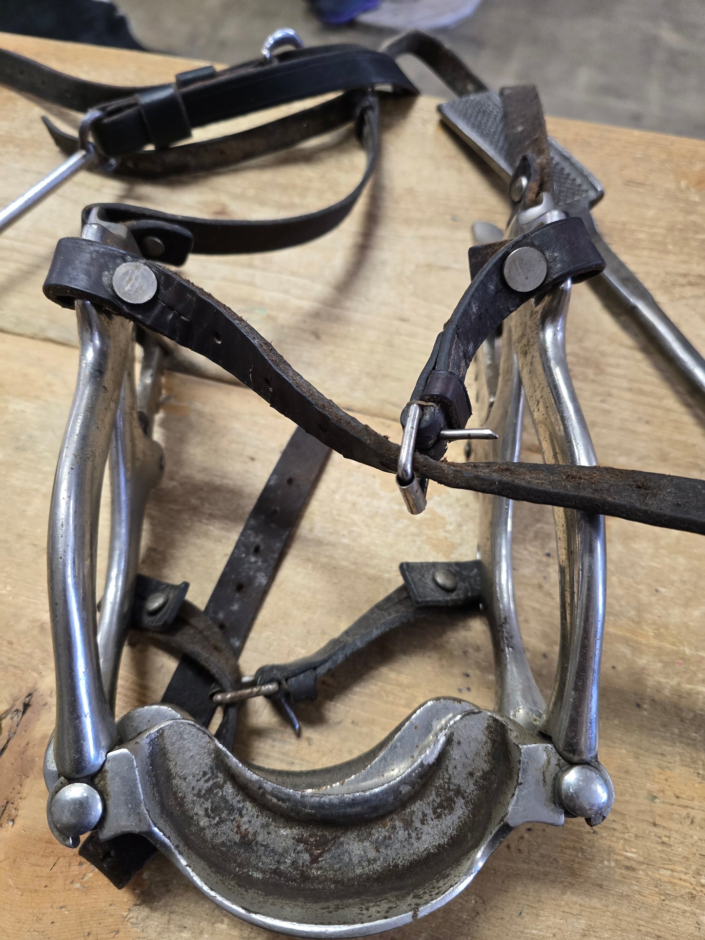 Equine Dental Tools
