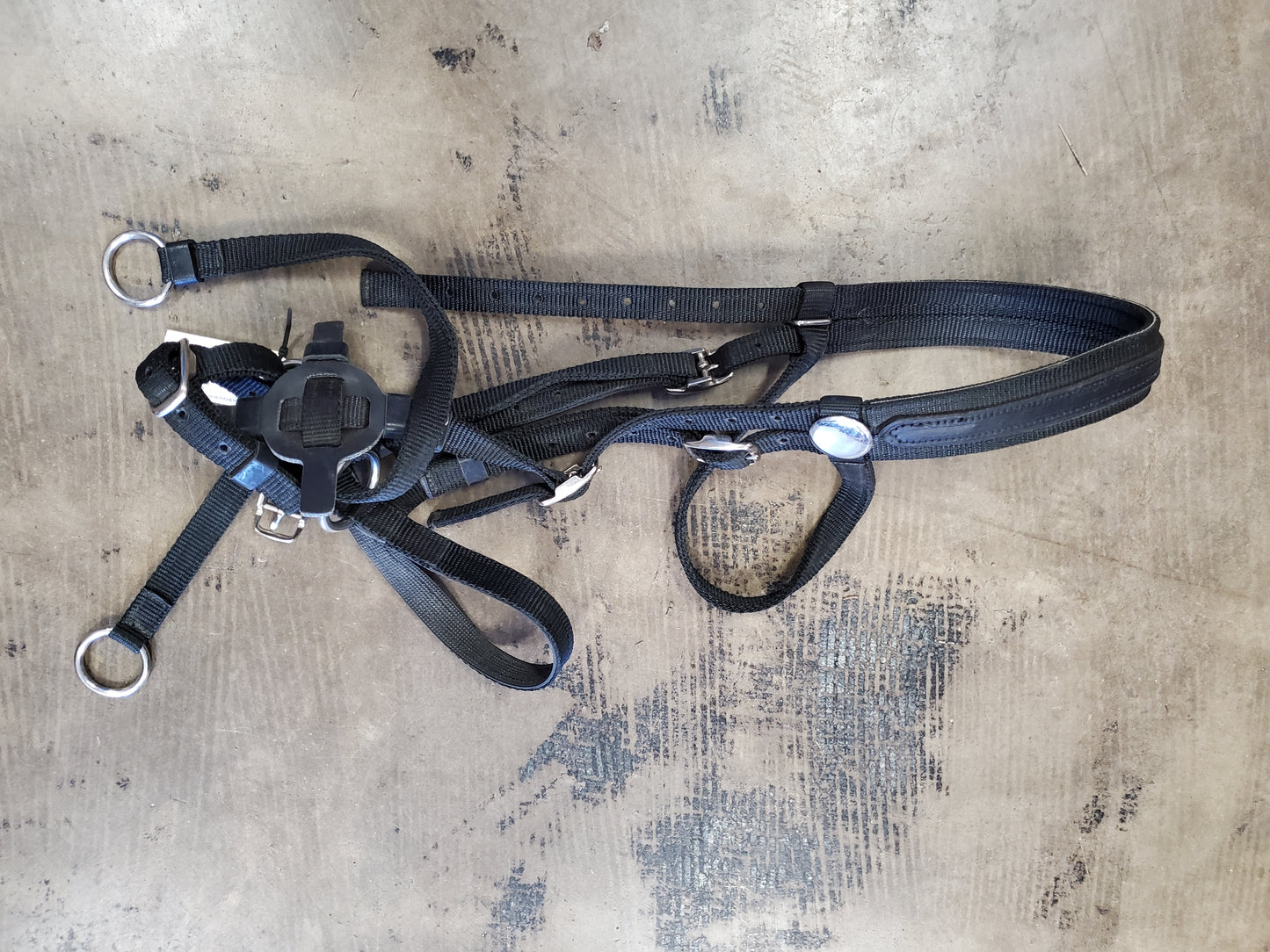 Black Nylon Bitless Bridle