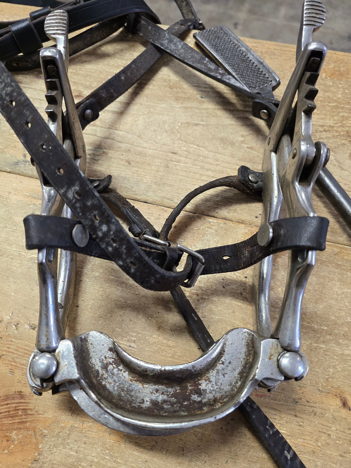 Equine Dental Tools