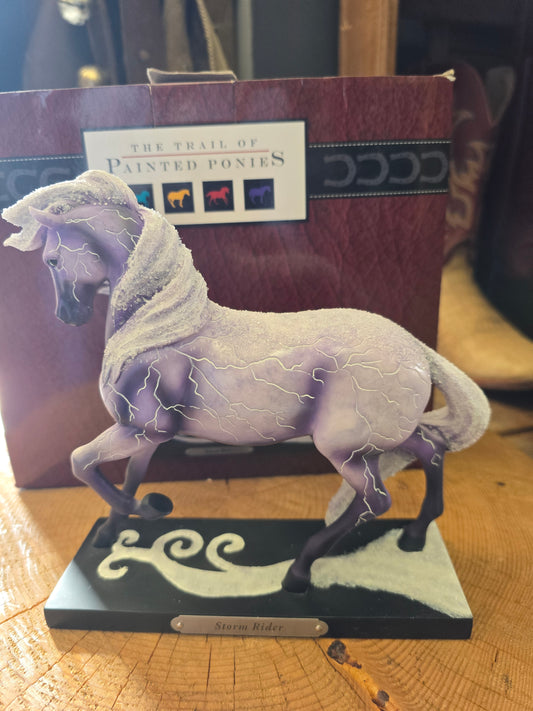 Painted Pony (Storm Rider)