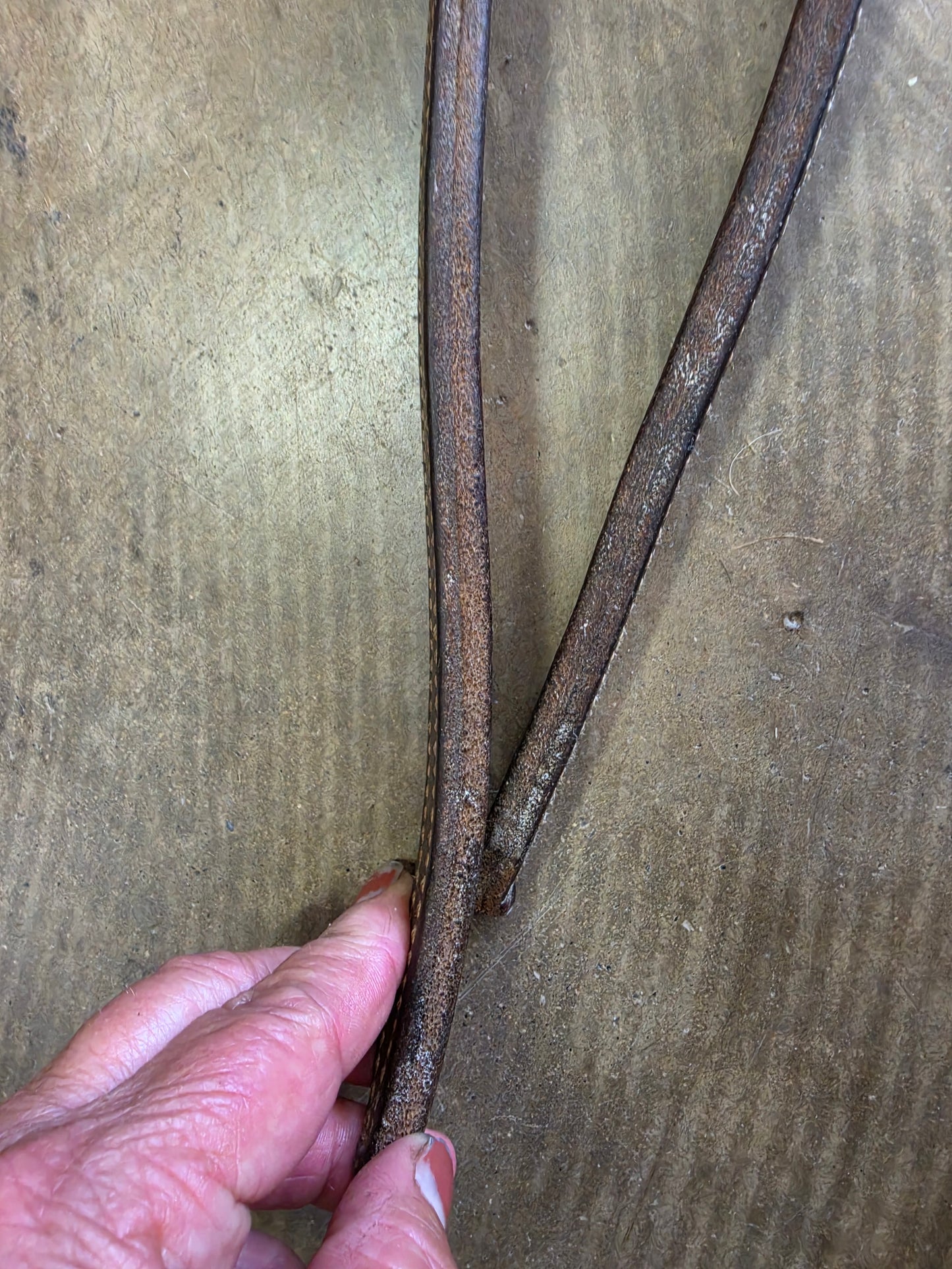 Double Stitched Weighted Reins