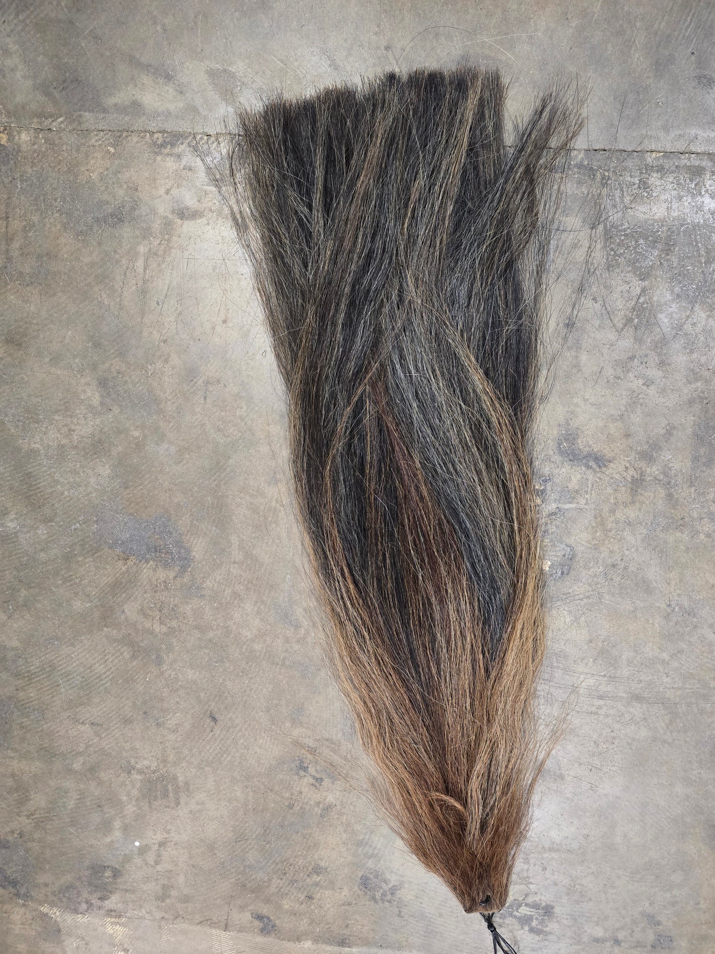 Natural Chestnut (2 LB.) Tail Flaxen Highlights