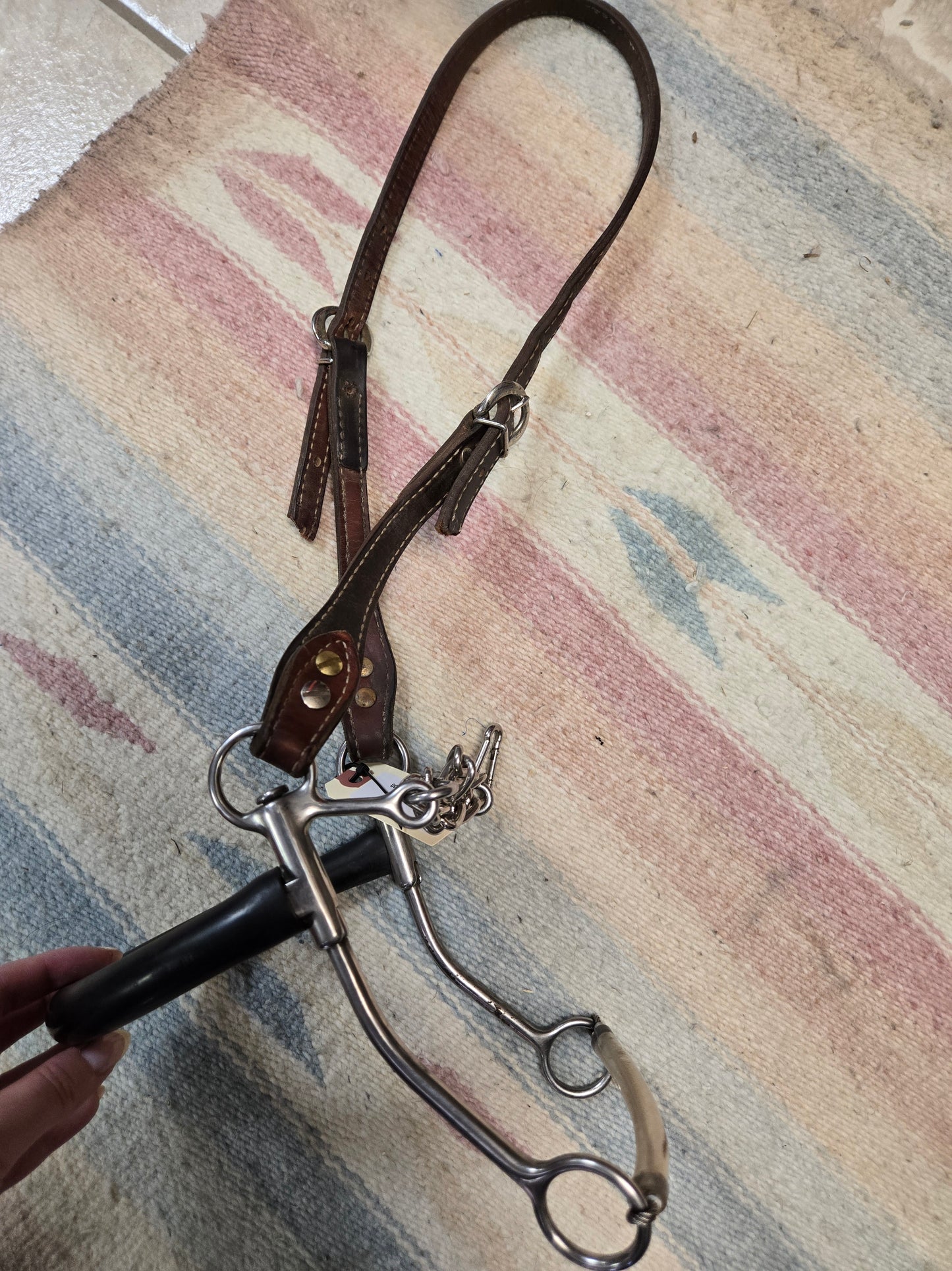 Hackamore/ Neoprene Nose