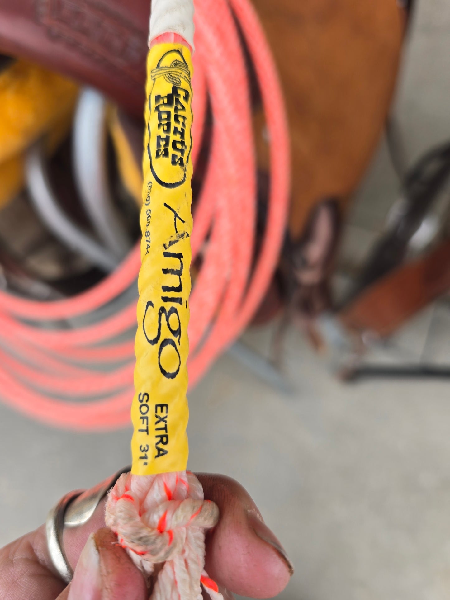 NEW Cactus Amigo Rope (xs) 31 ft