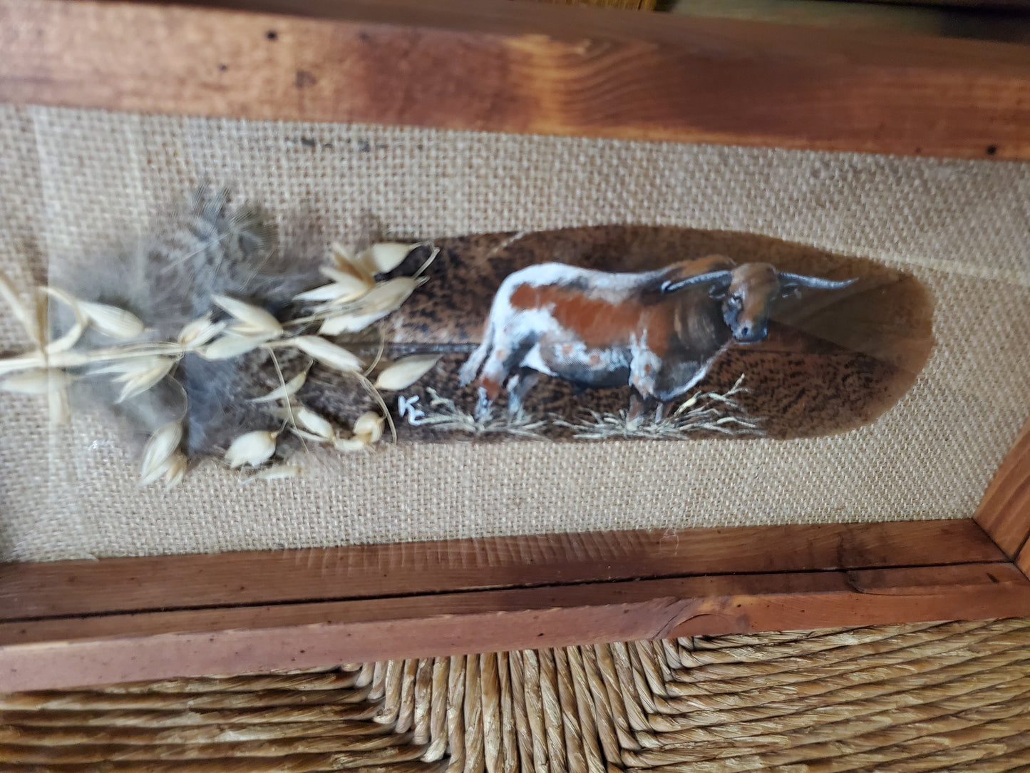 Long Horn on Feather