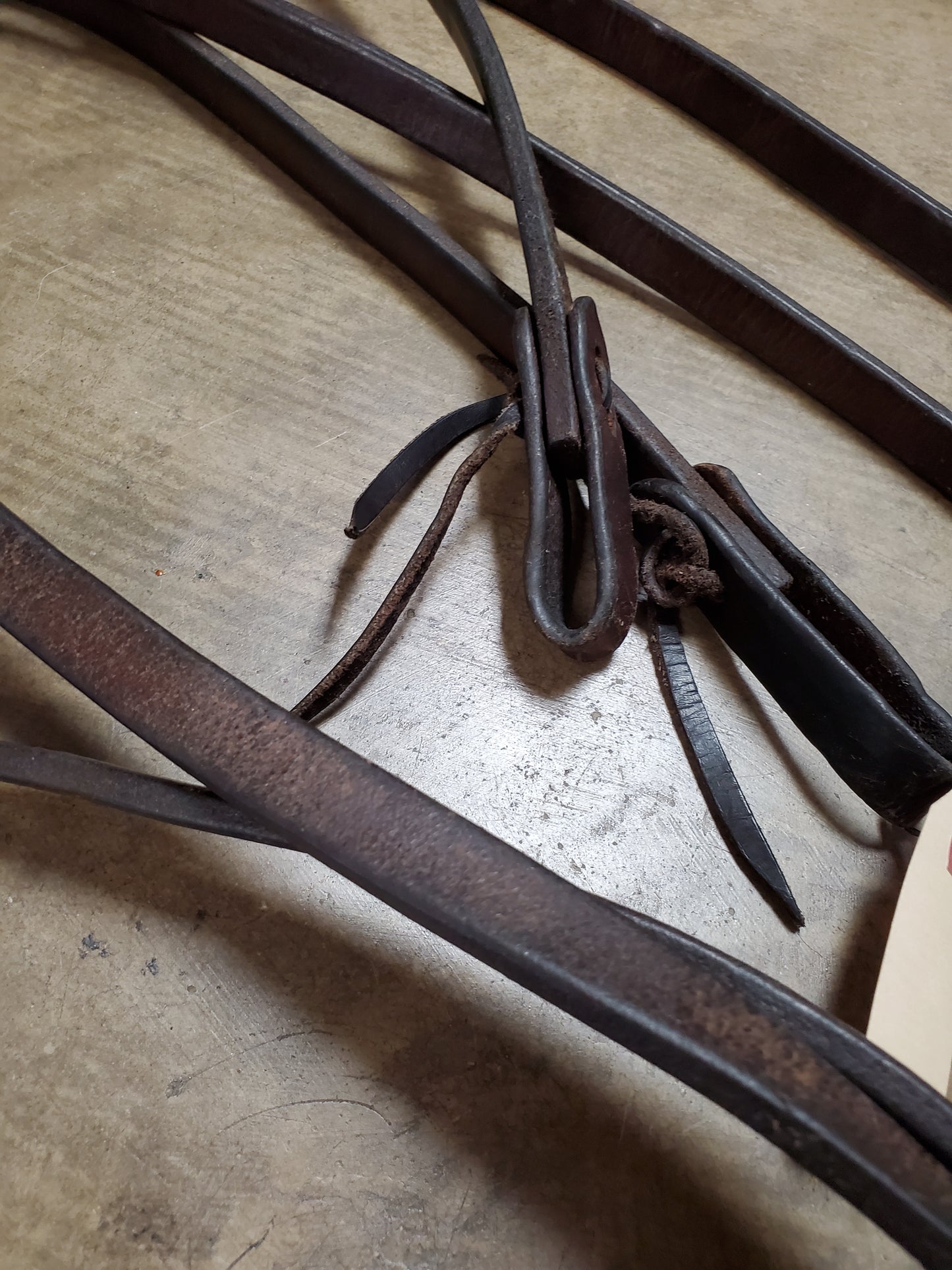 Dark Oiled Reins/ Water Loops