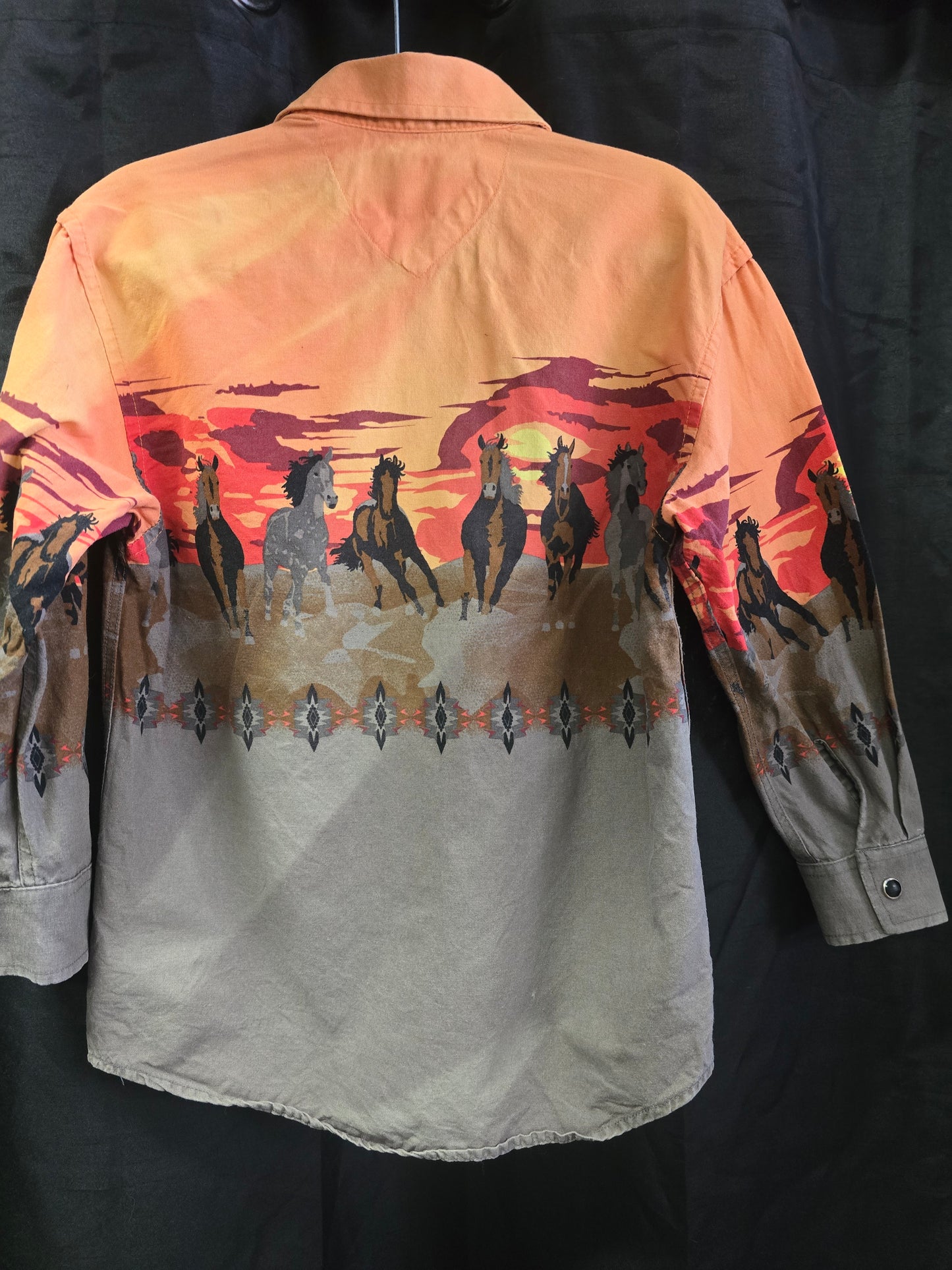 Boy's Panel W/Shirt