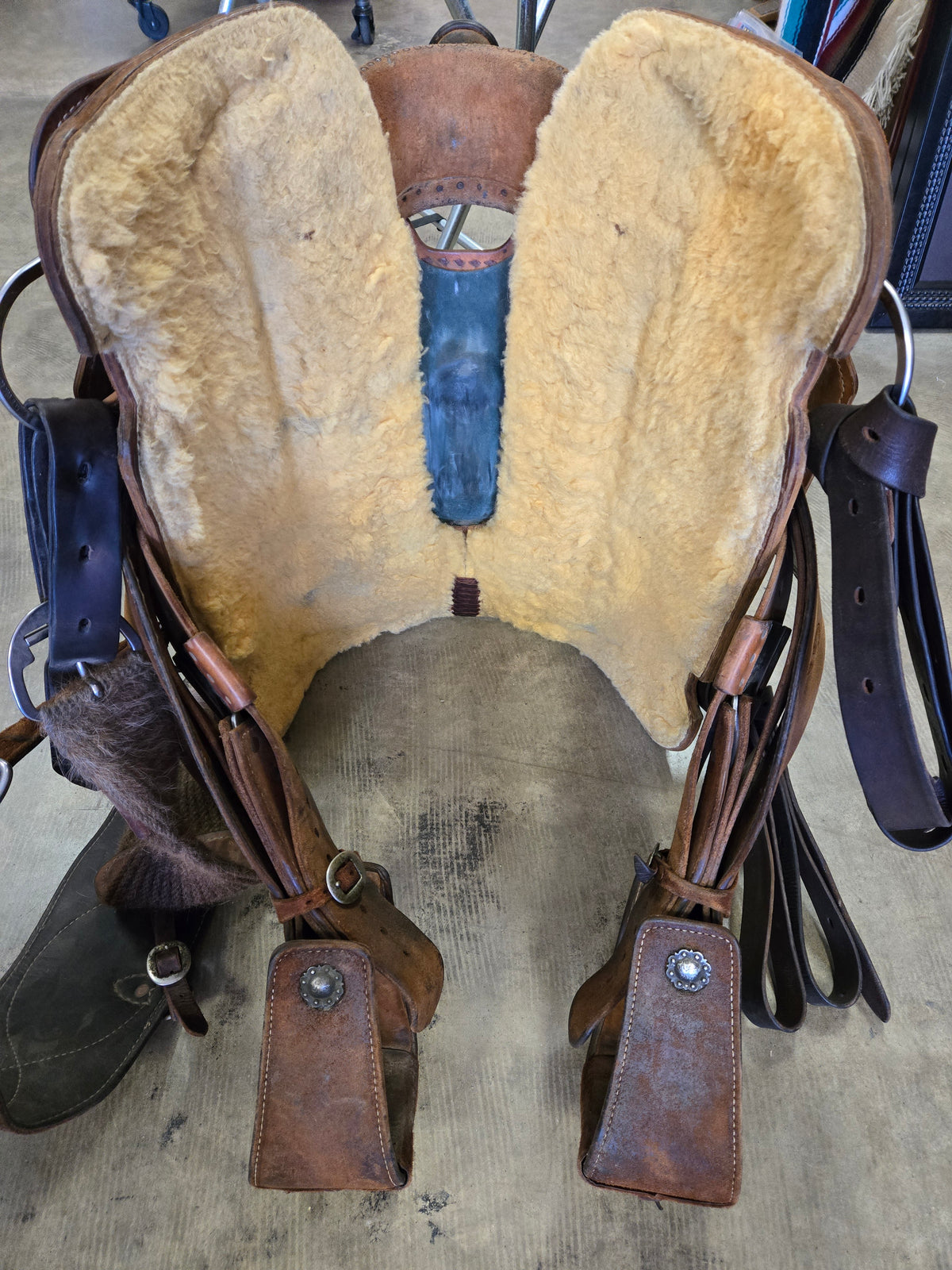 Travis McIntyre Calf Roper (14.5)