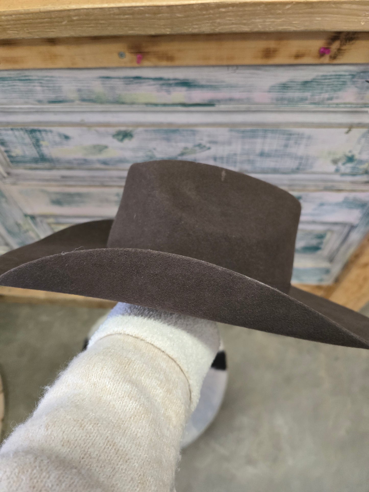 Youth Brown Wool Felt Hat
