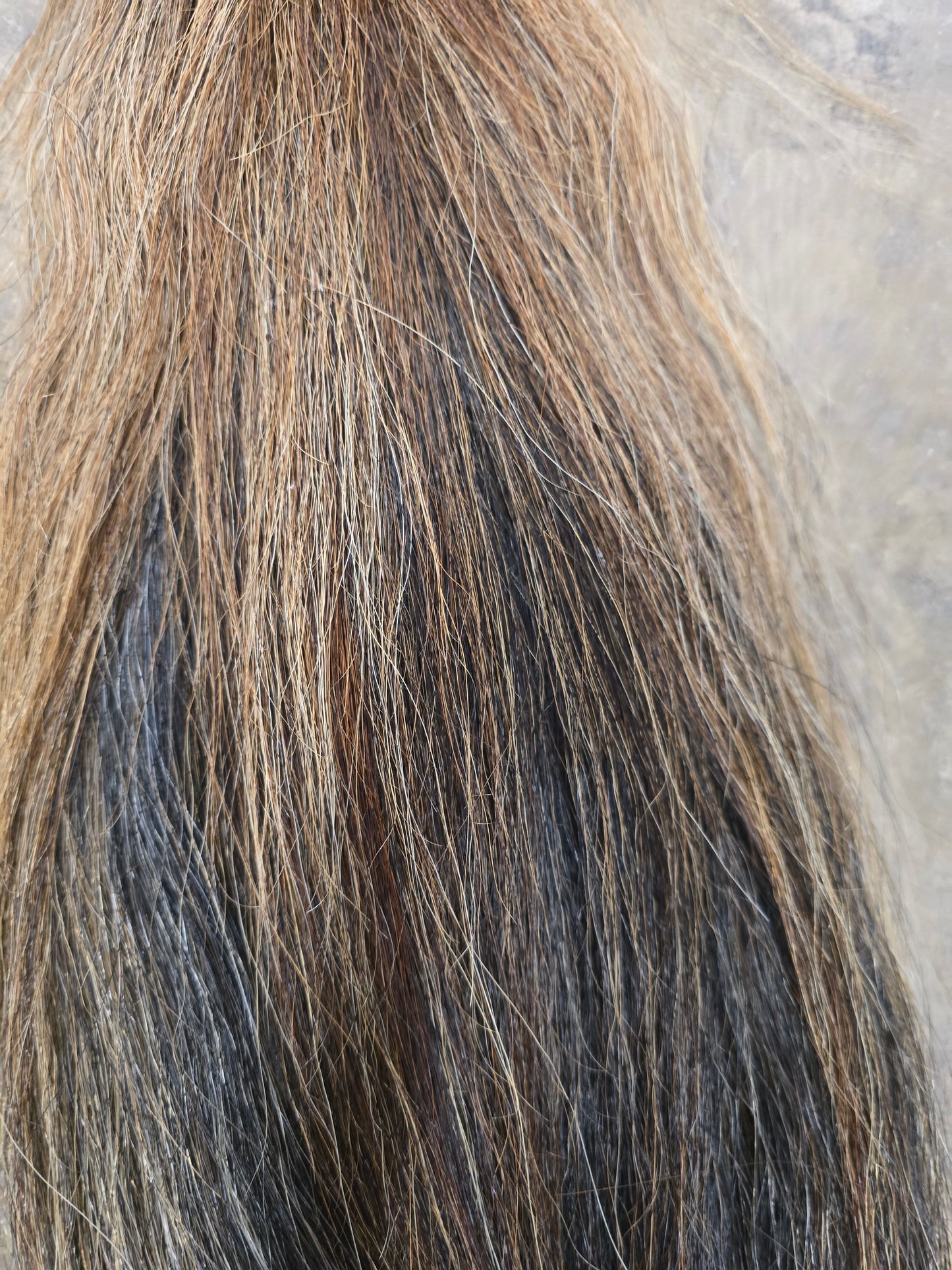 Natural Chestnut (2 LB.) Tail Flaxen Highlights