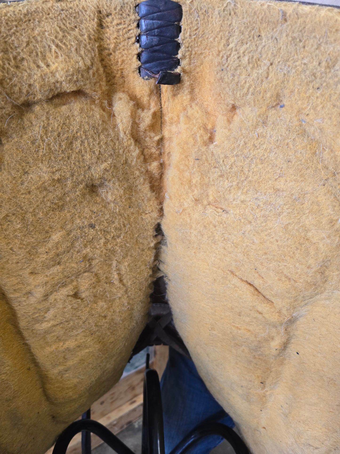 Youth Ranch Wade Saddle (13.5)