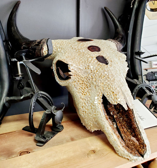 Desert Outlaw Bison Skull