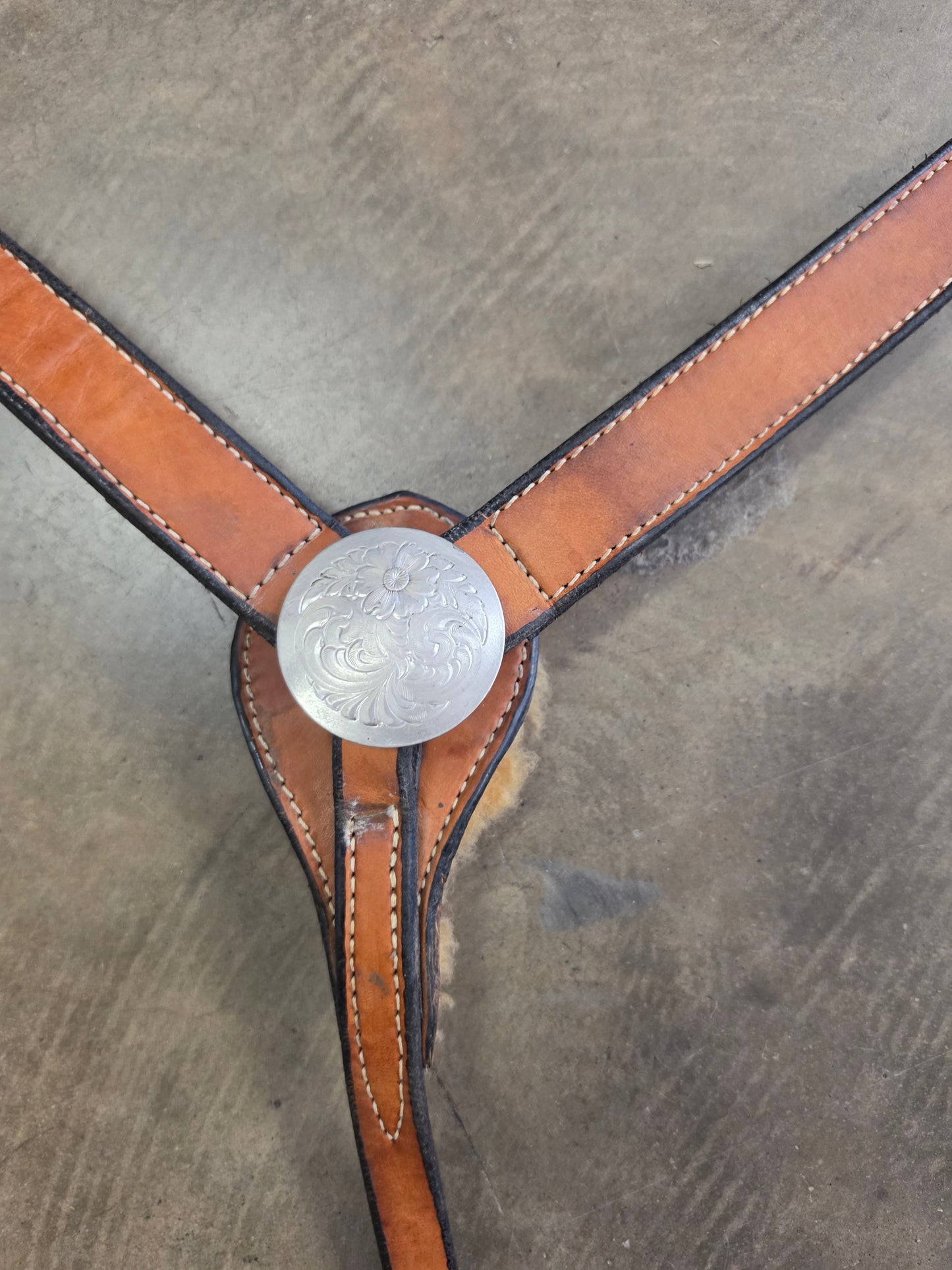 Light Color Breast Collar Concho Details