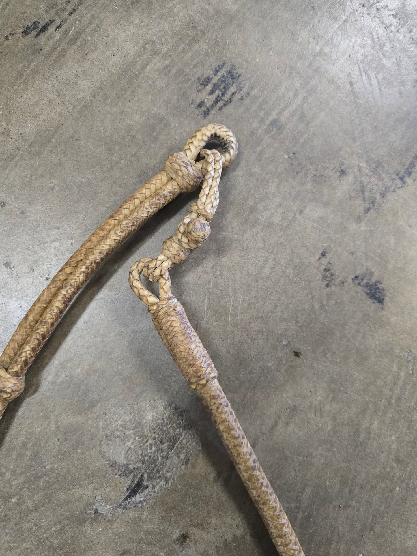 Champion Turf Rawhide Romels