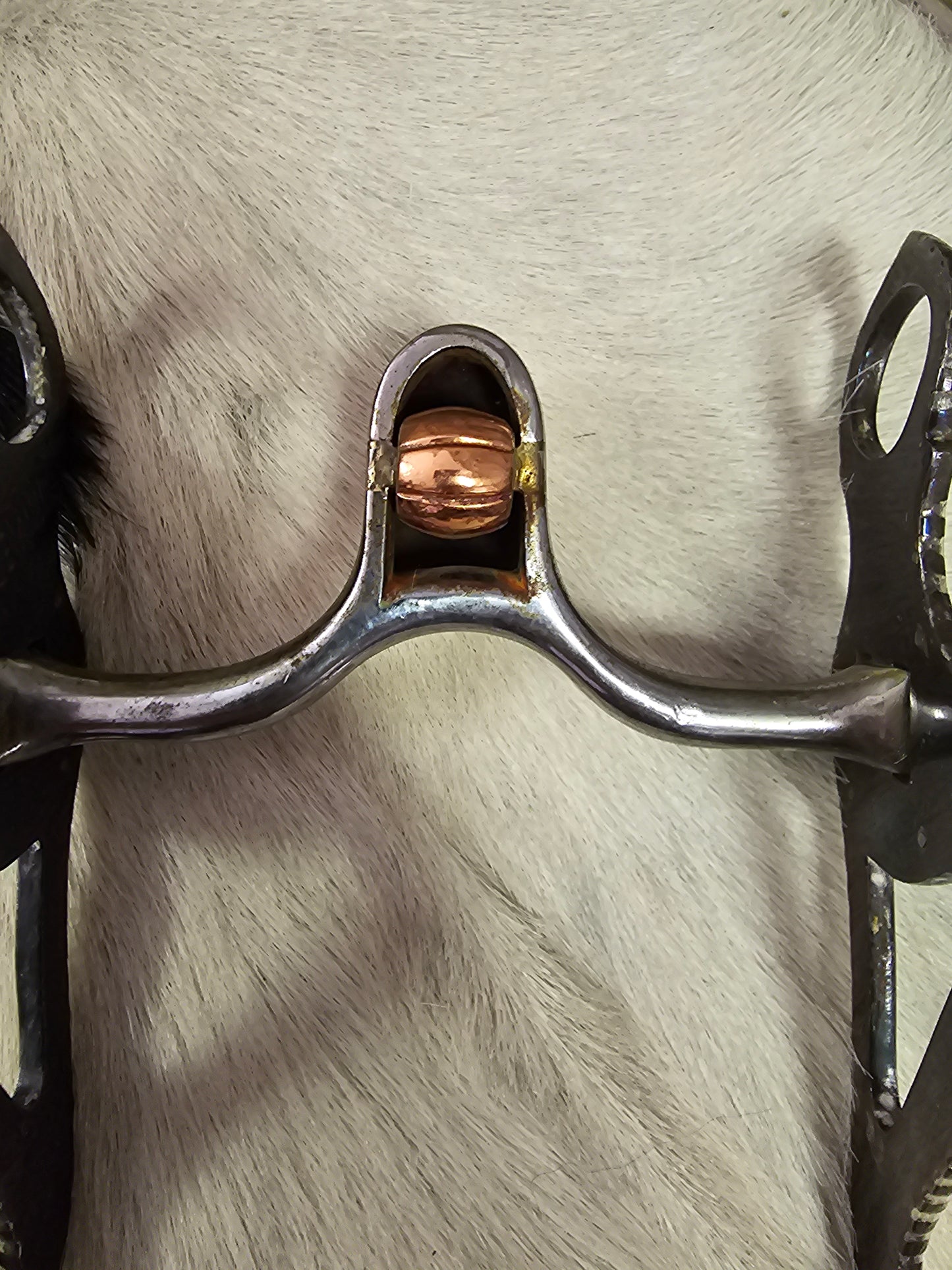 Fleming Bit/ San Joaquin