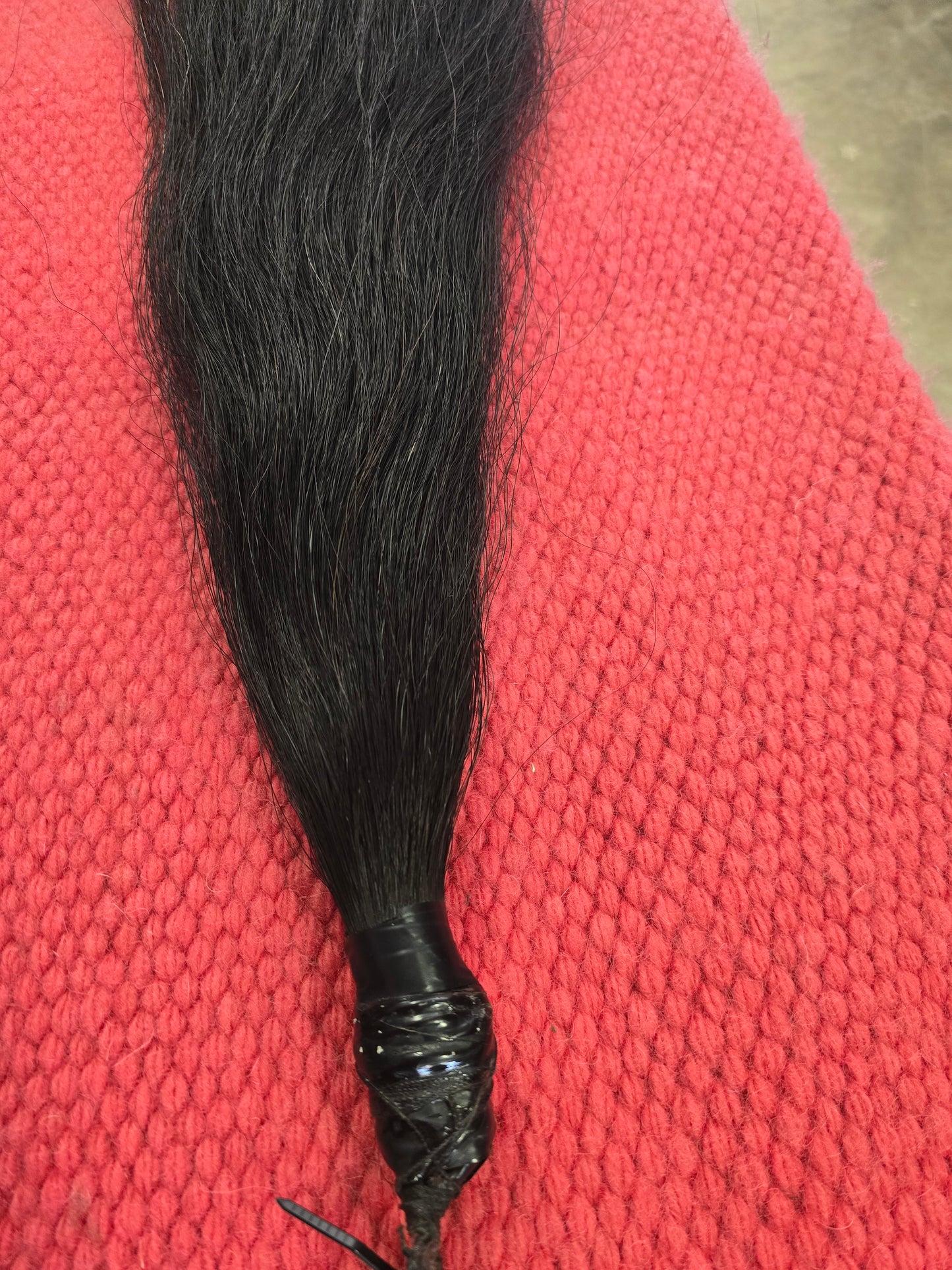 (1 Lb. ) Chestnut Show Tail