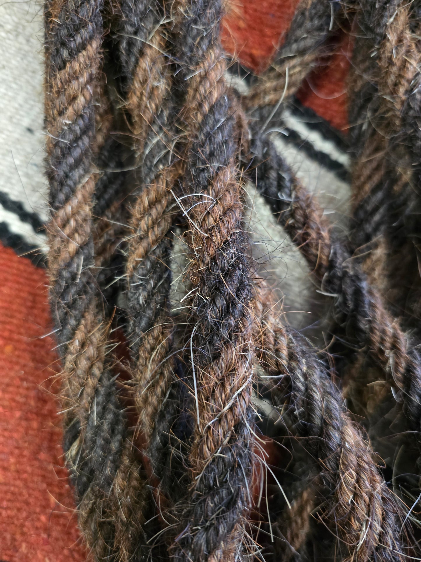 Horse Hair Mecate