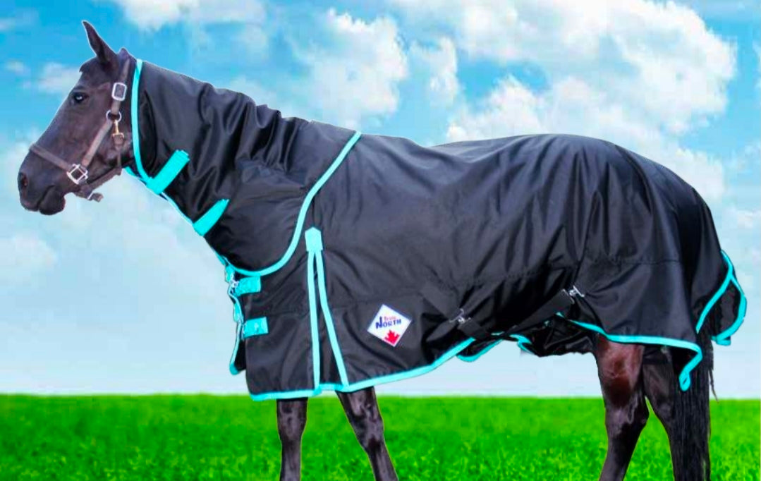 NEW 350gm Winter W/Neck