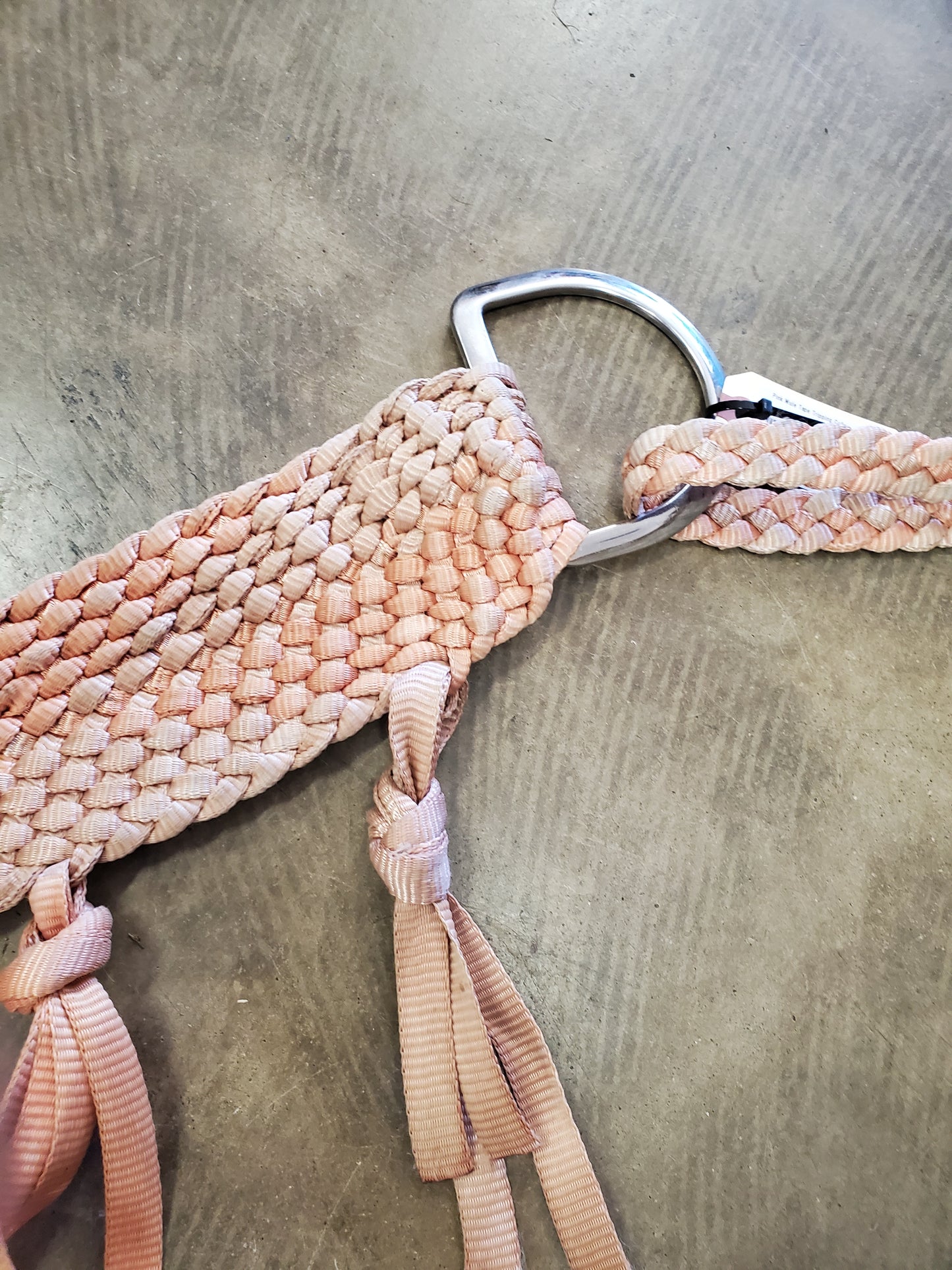 Pink Mule Tape Tripping Collar