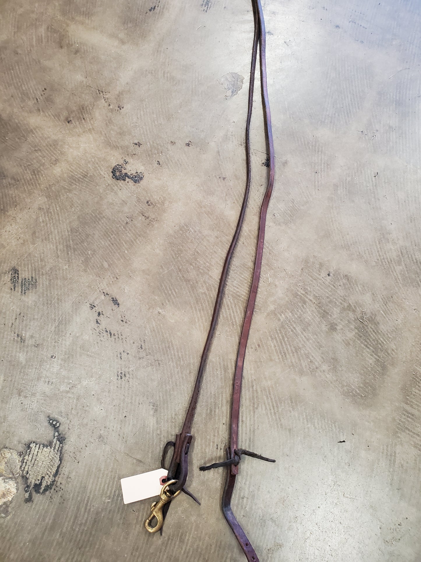 Single Rein/ Snap & Water Loop