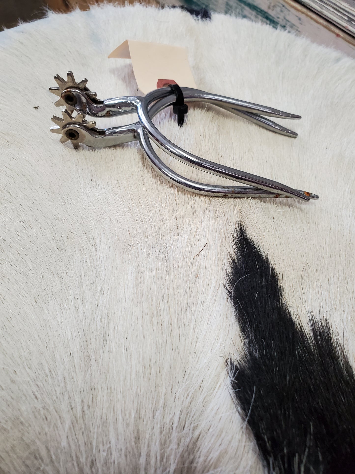 Quick On Silver Spurs