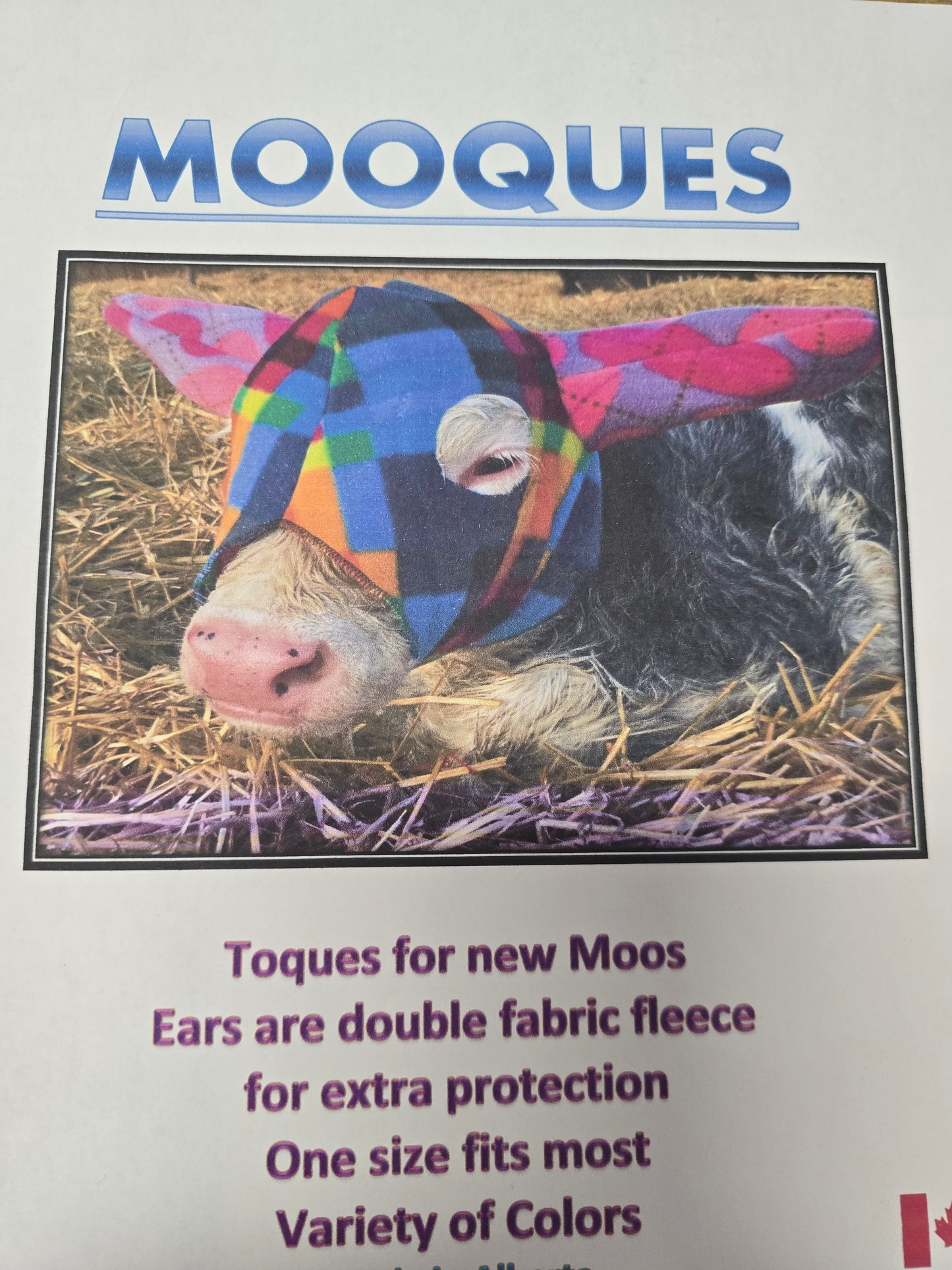 Tooques for NEW MOO"S