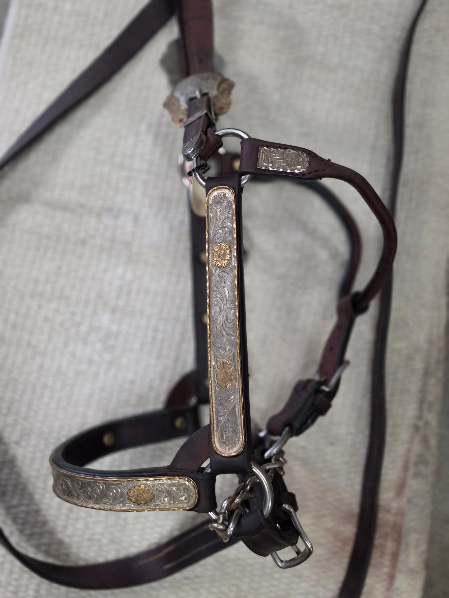 Kathy's Horse Size Show Halter