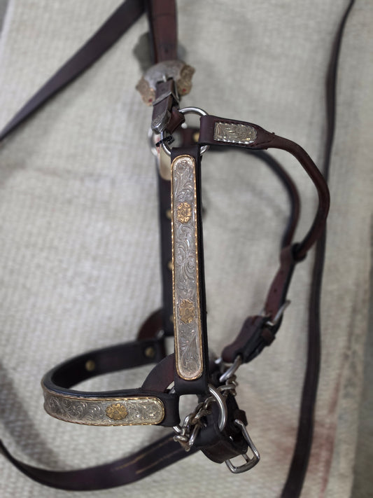 Kathy's Horse Size Show Halter