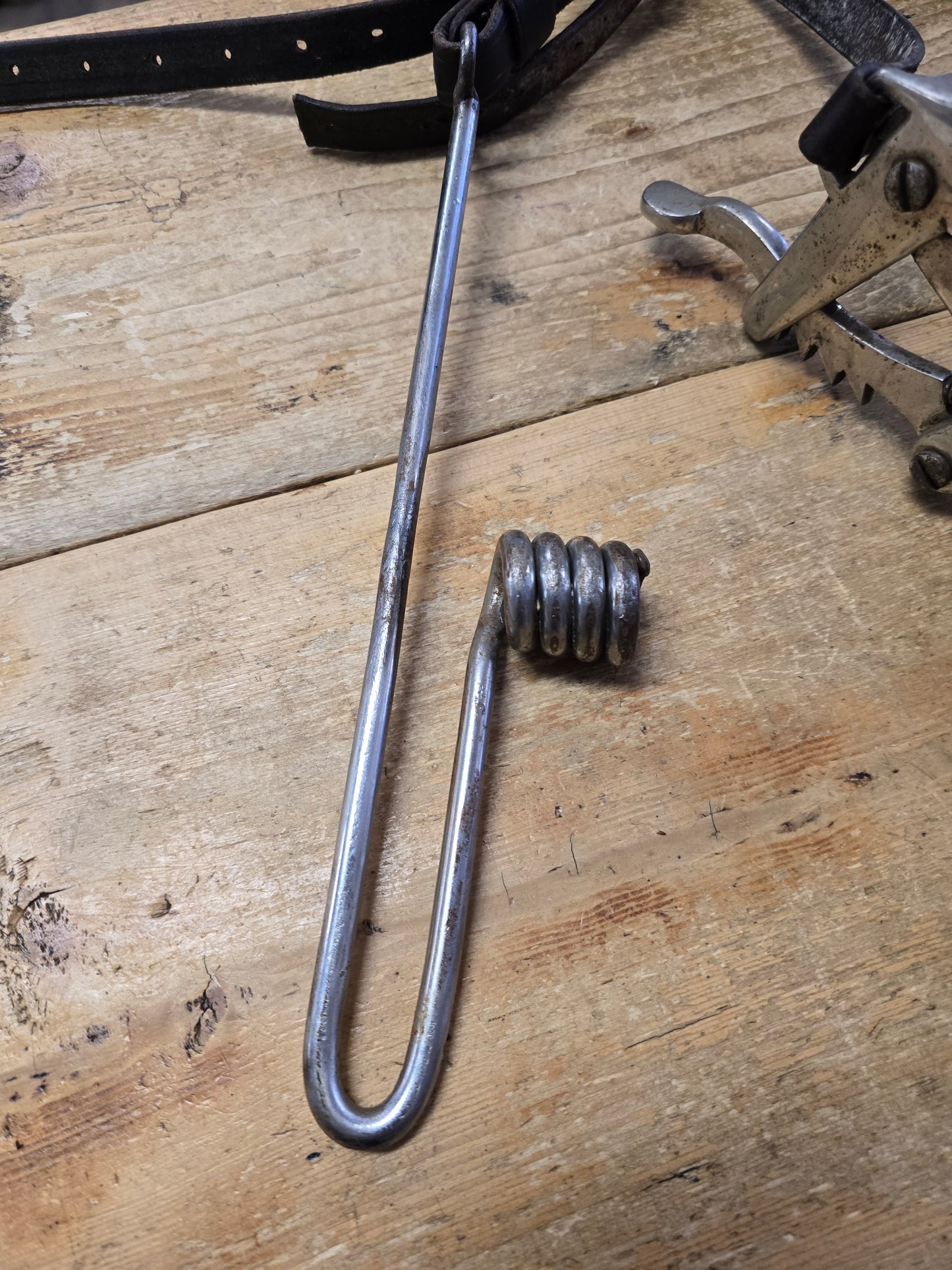 Equine Dental Tools