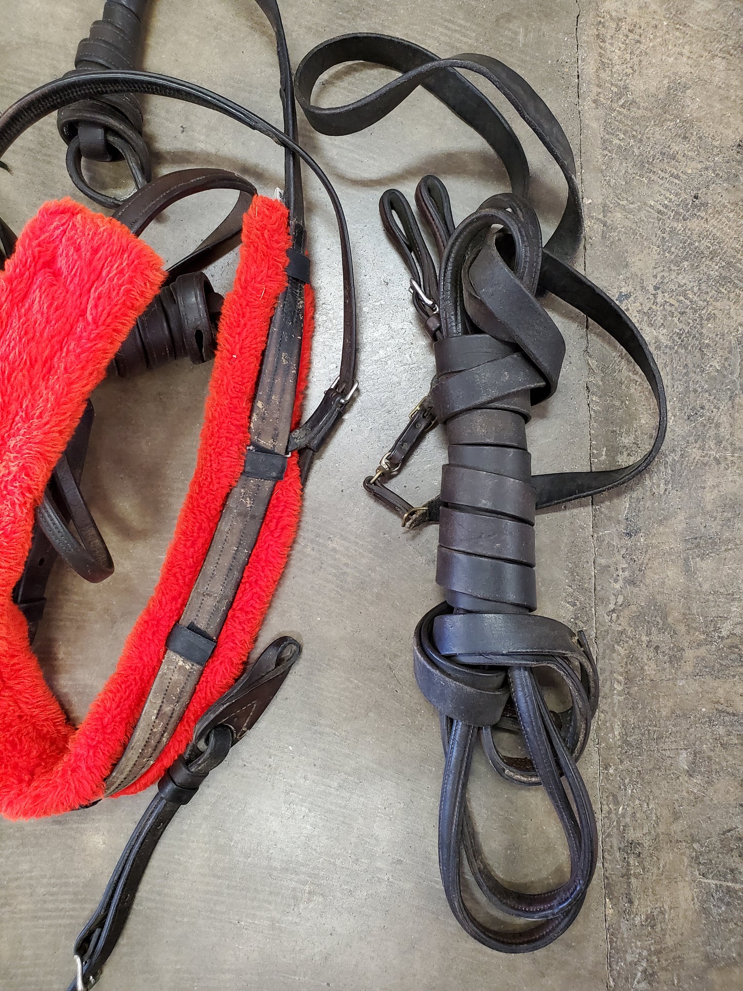 Single Light Horse Driving Harness