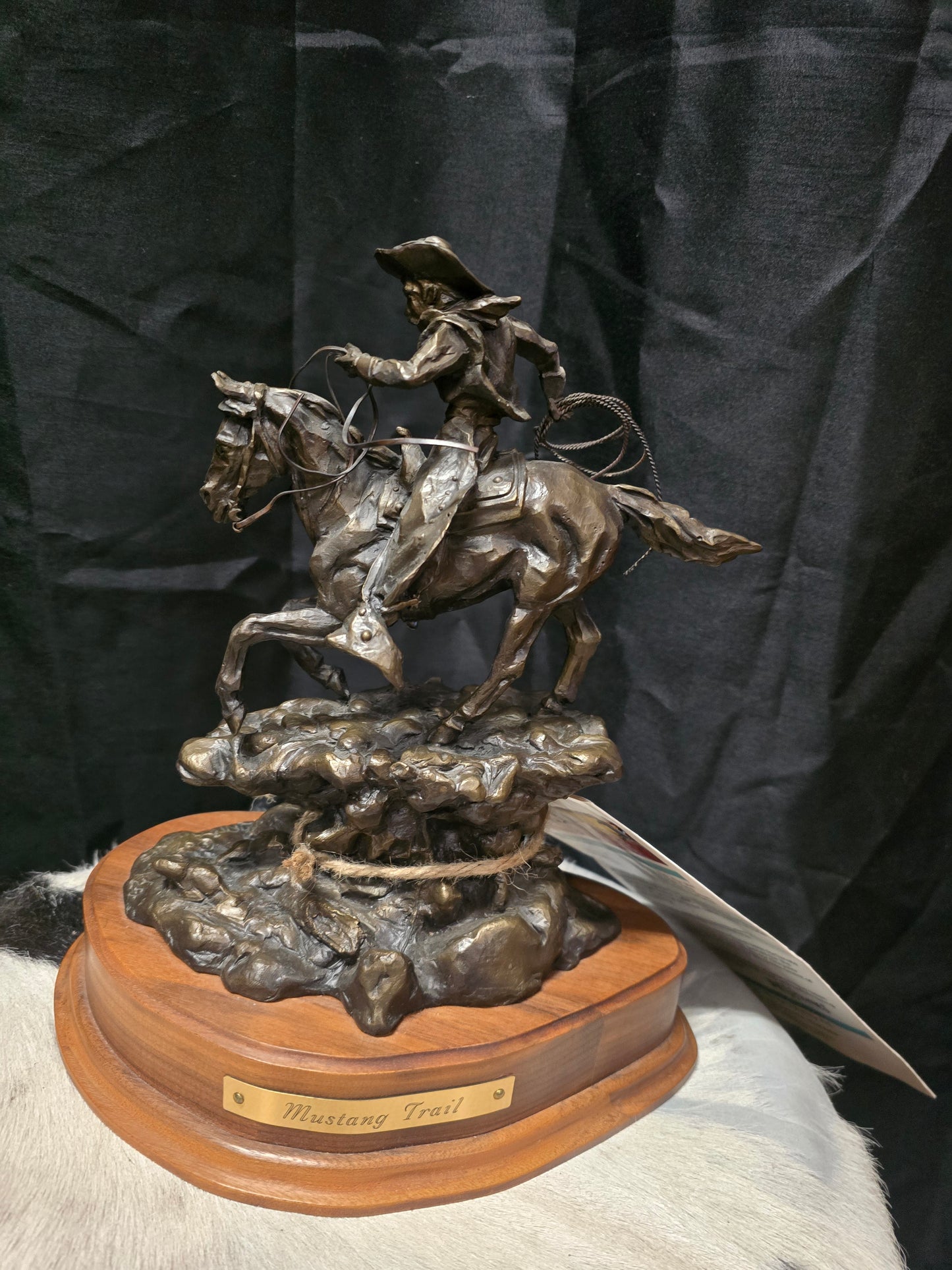 Mustang Trail (Neville Hewines)                   Bronze