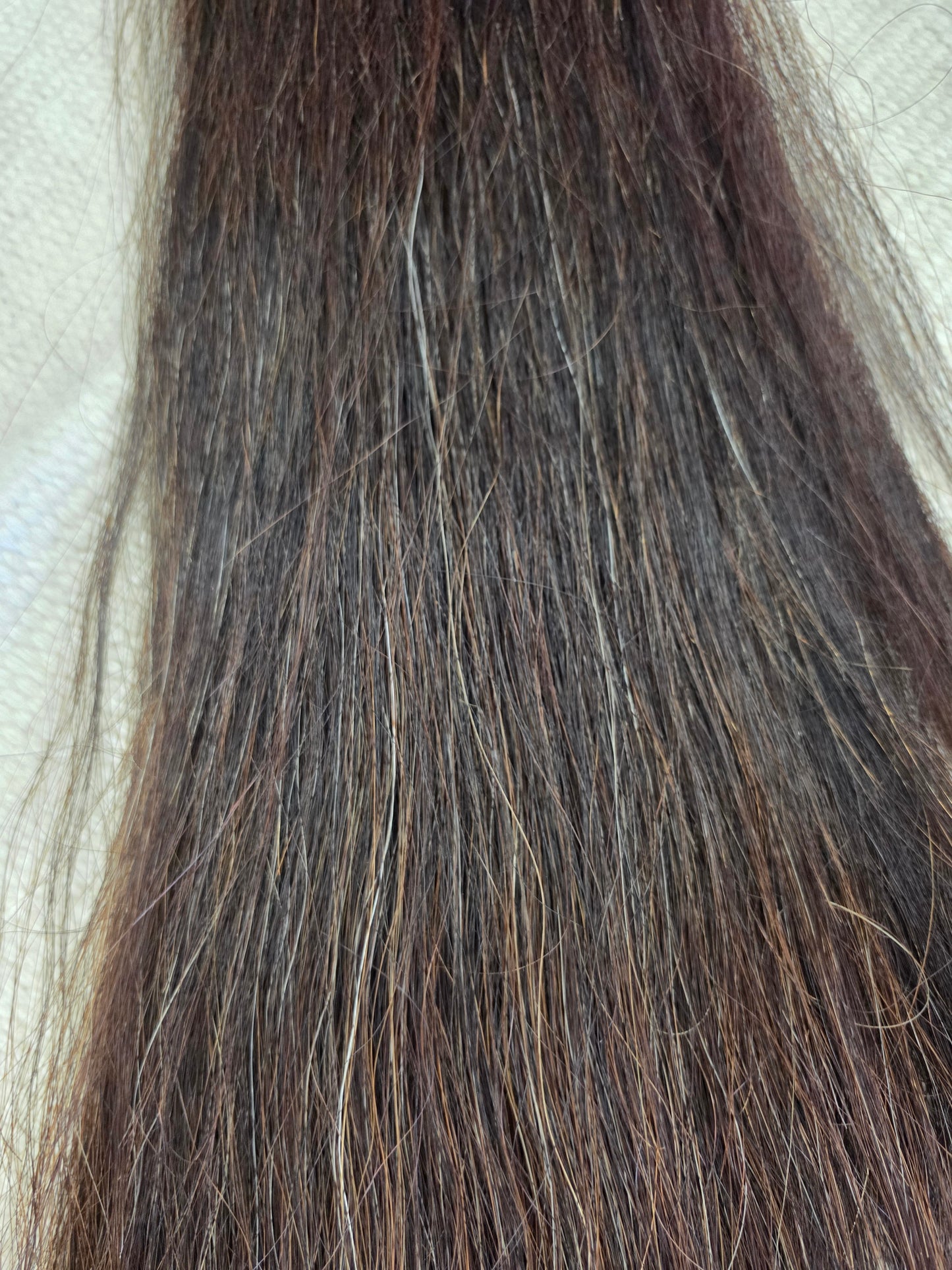 Chestnut Show Tail-Grommet Style