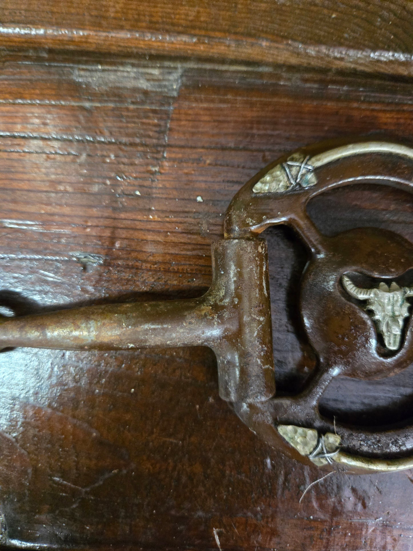 Steer Head Snaffle