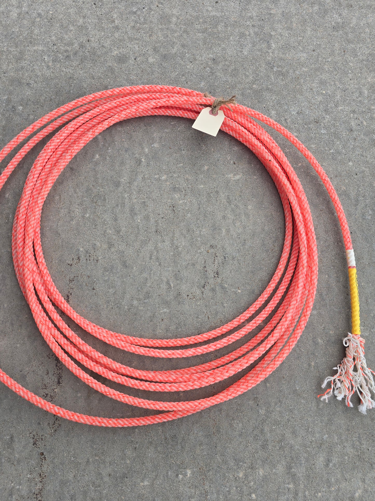 NEW Cactus Amigo Rope (xs) 31 ft