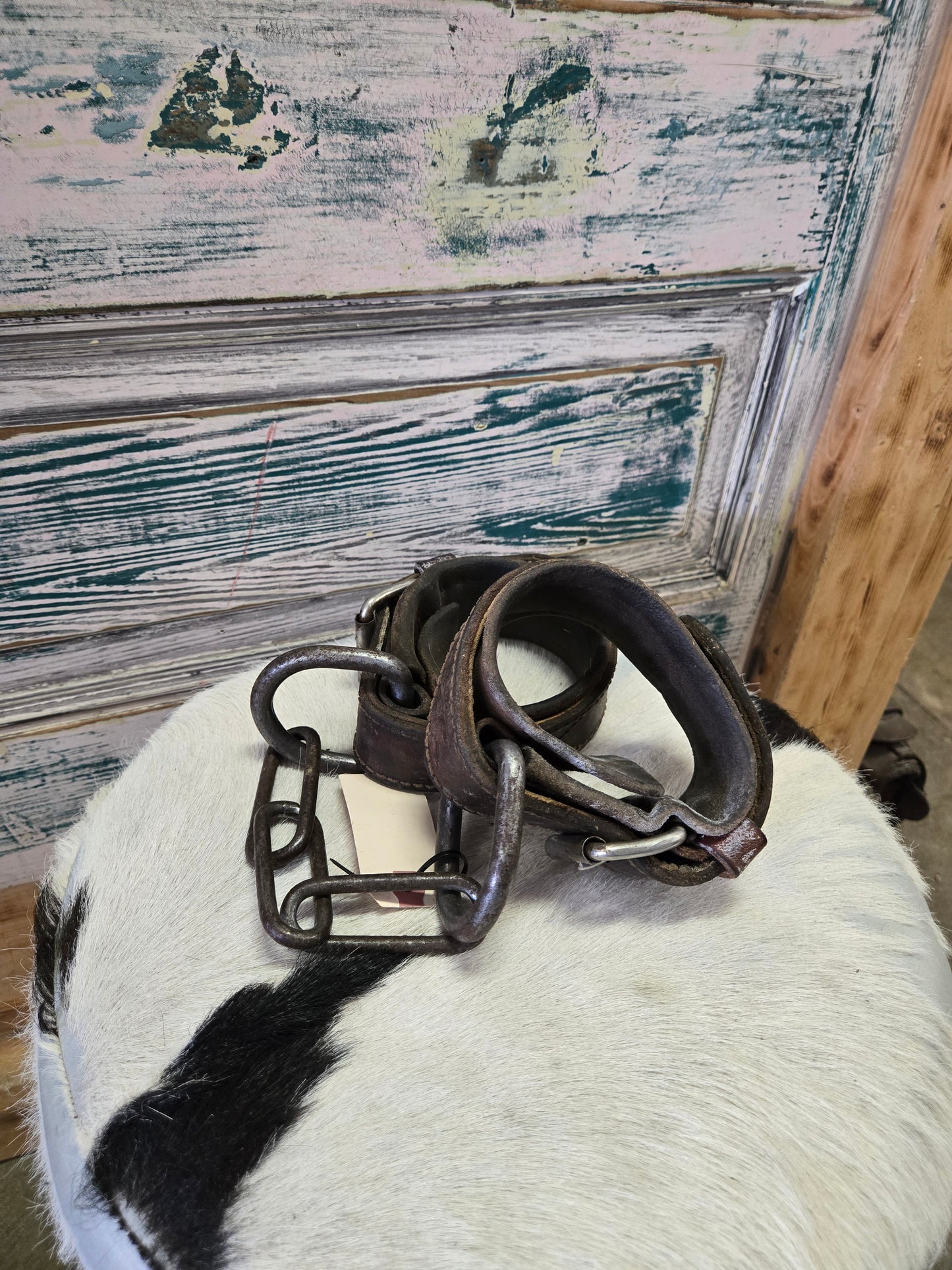 Leather & Chain Hobbles