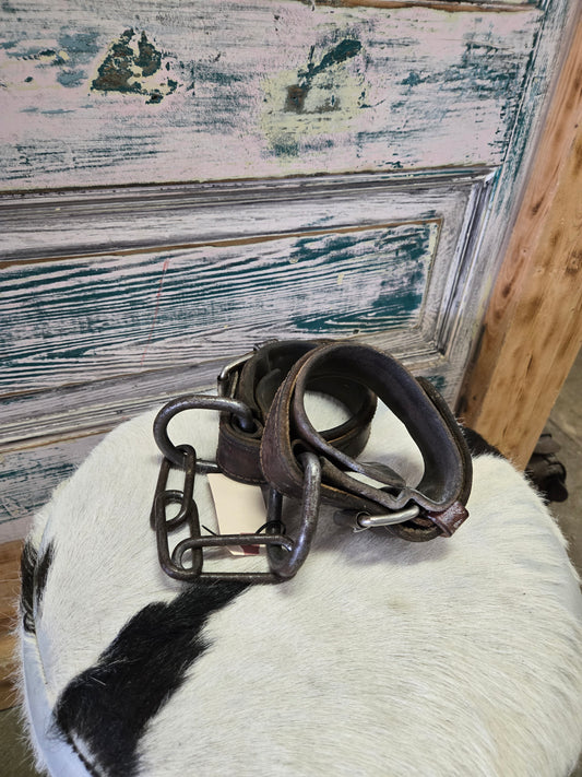 Leather & Chain Hobbles