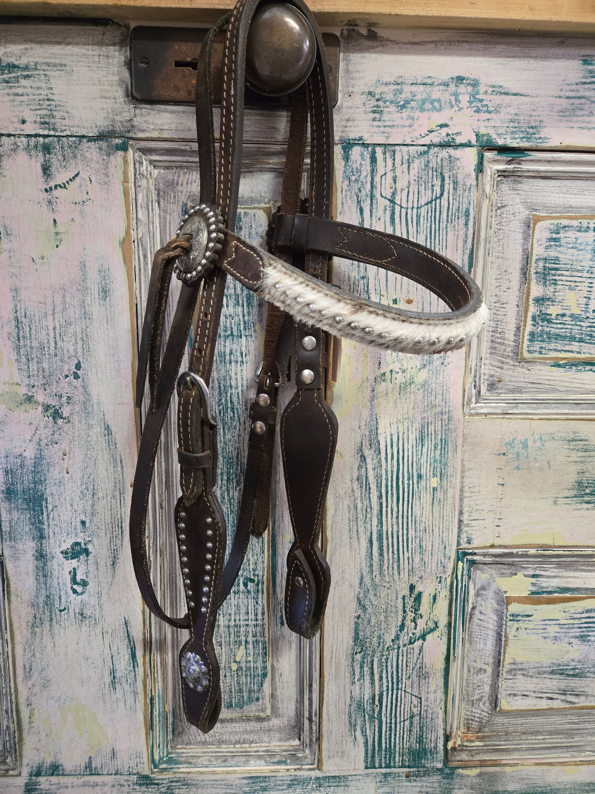 Hide On Browband Headstall                       Dot Accents