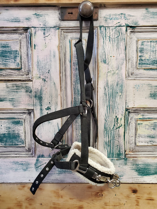 Black Web Lunging Caveson