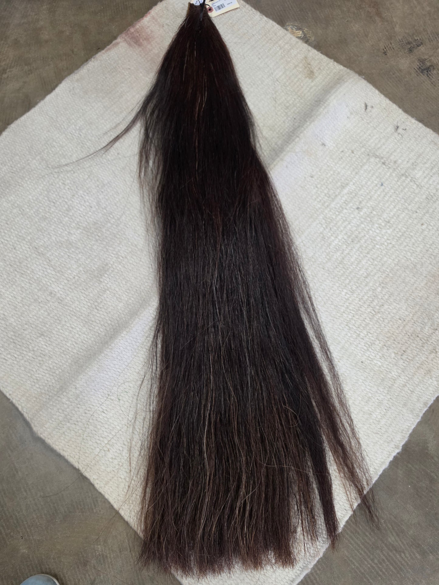 Chestnut Show Tail-Grommet Style