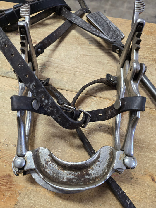 Equine Dental Tools