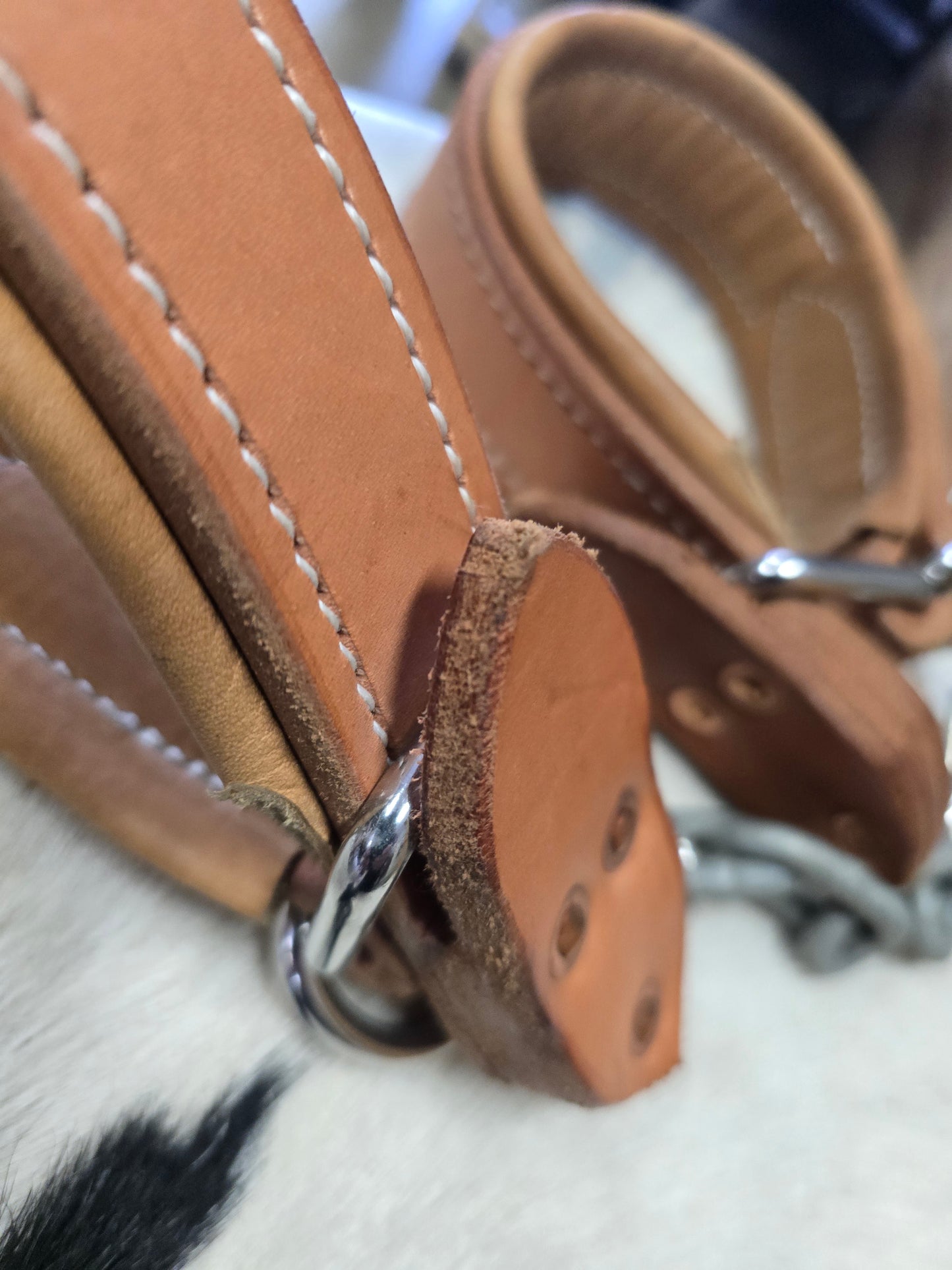 Leather Hobbles- Quick Release