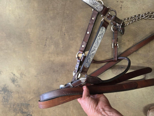Leather Show Halter