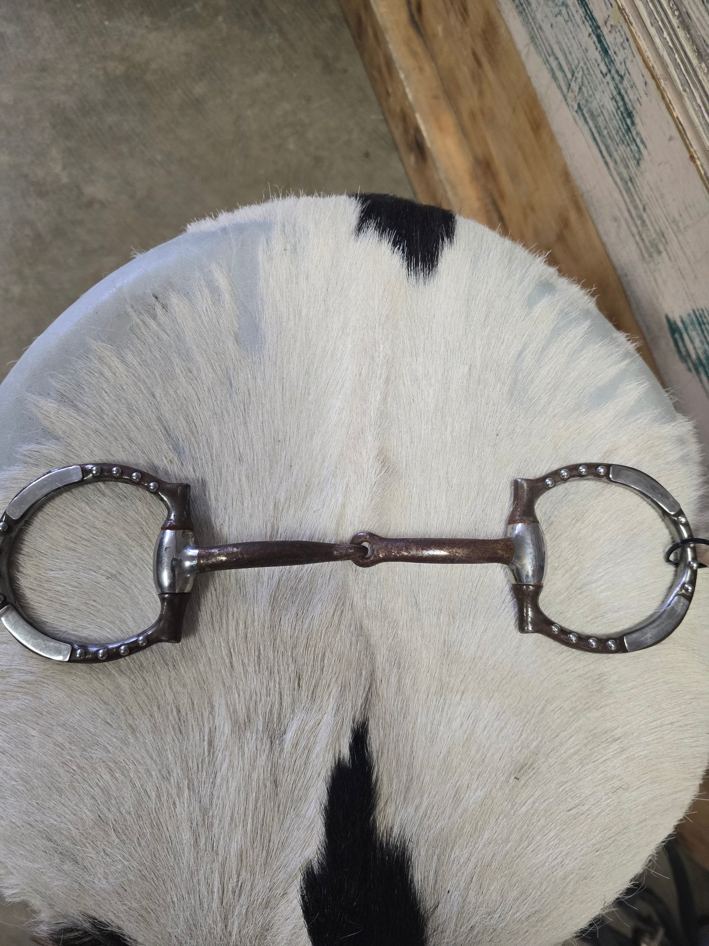 Dot Detail /D-Ring Snaffle