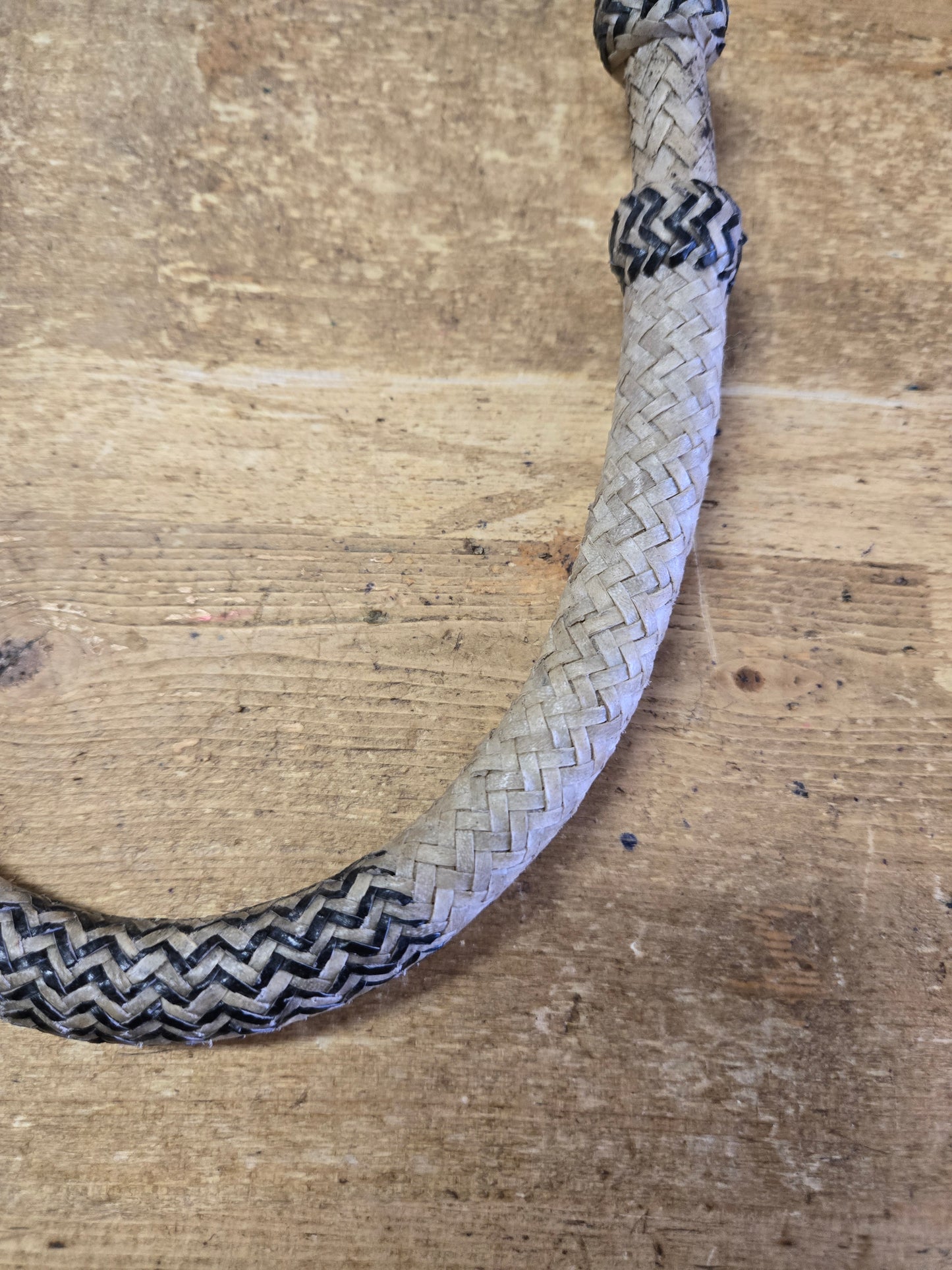 Rawhide Bosal