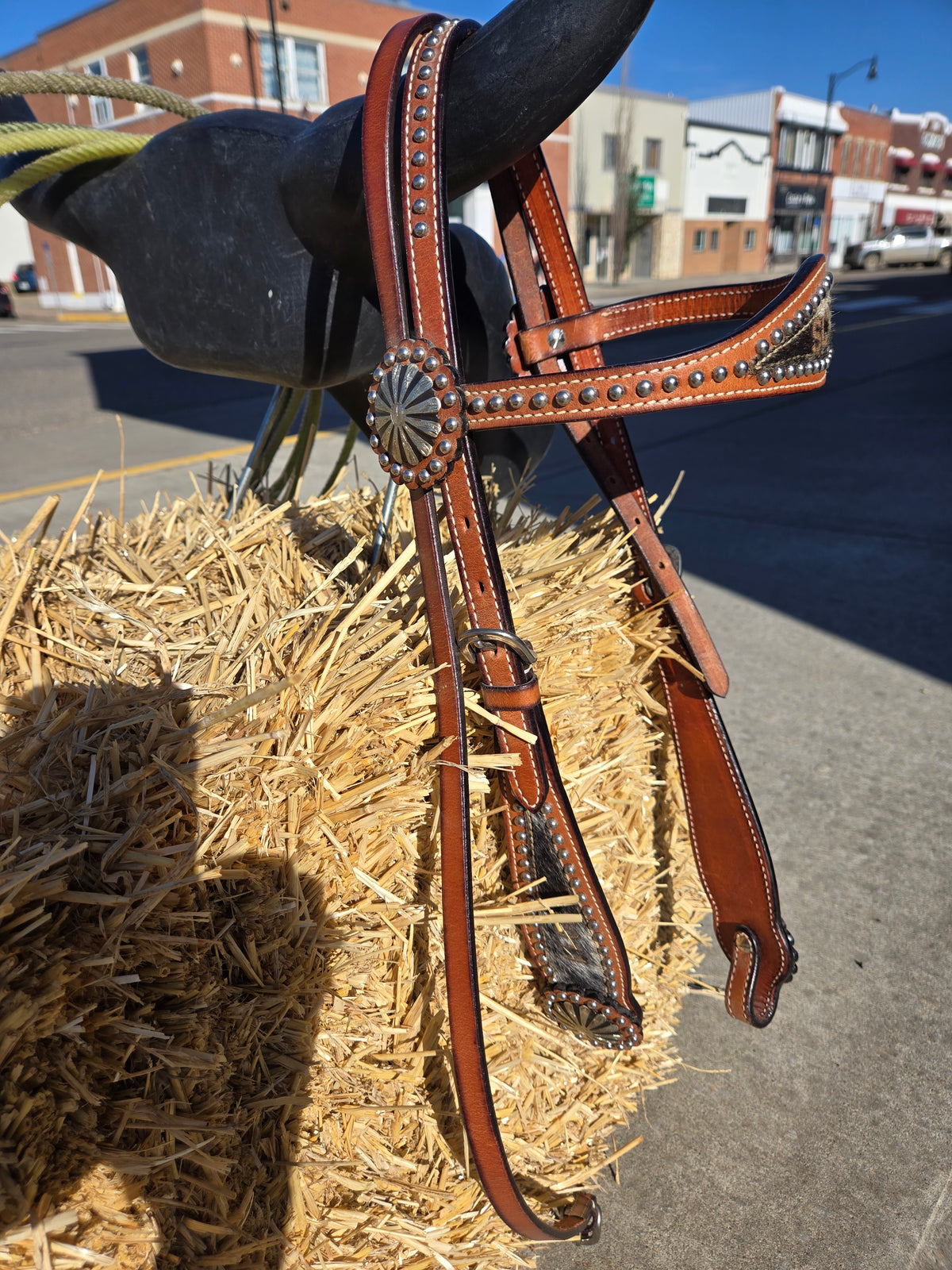 Browband Headstall-Dot Detail